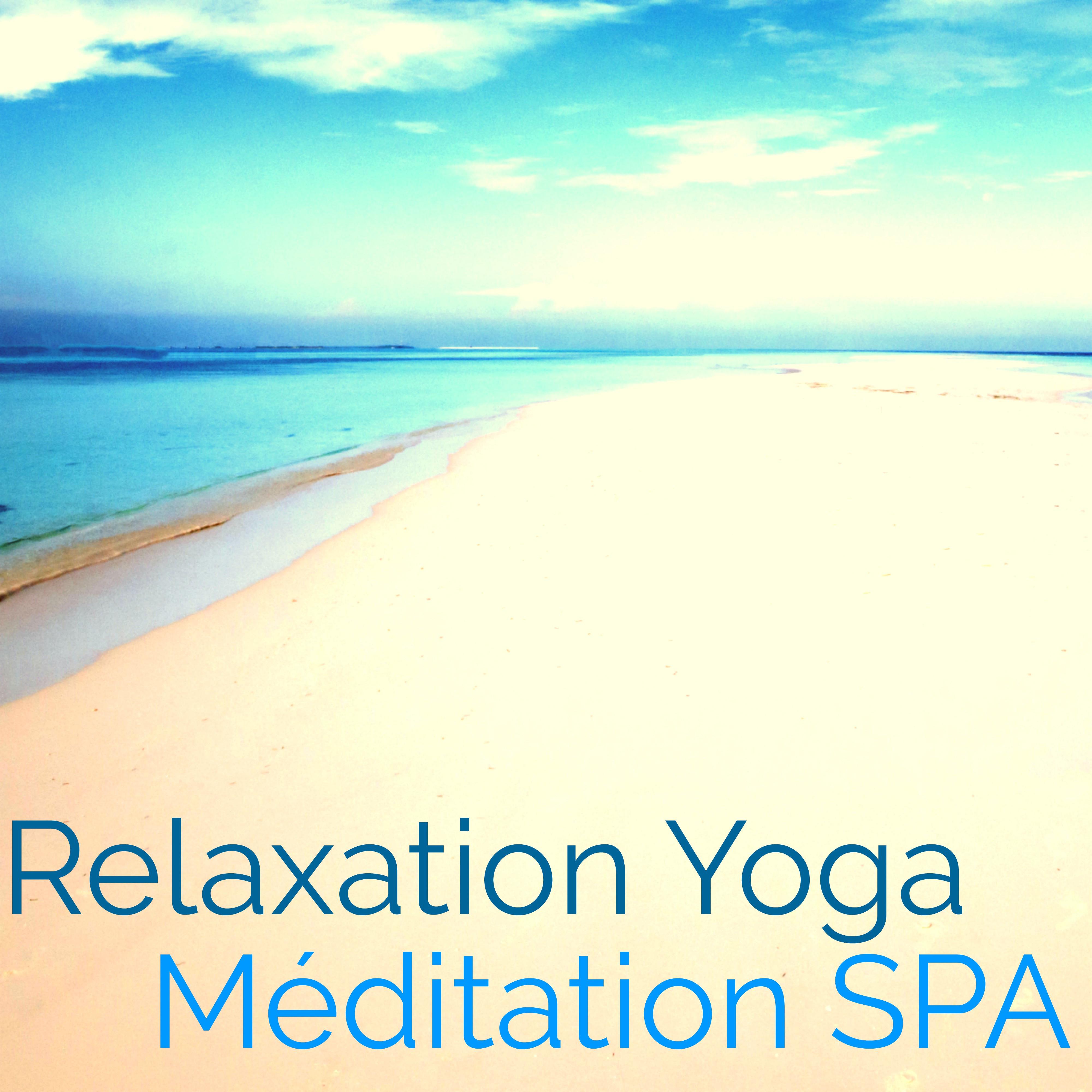 Relaxation Yoga Me ditation Spa: Musique d' Ambiance Relaxante pour Relaxation, Spa, Me ditation, Yoga et Massage, Coffret Bien tre pour votre Sante