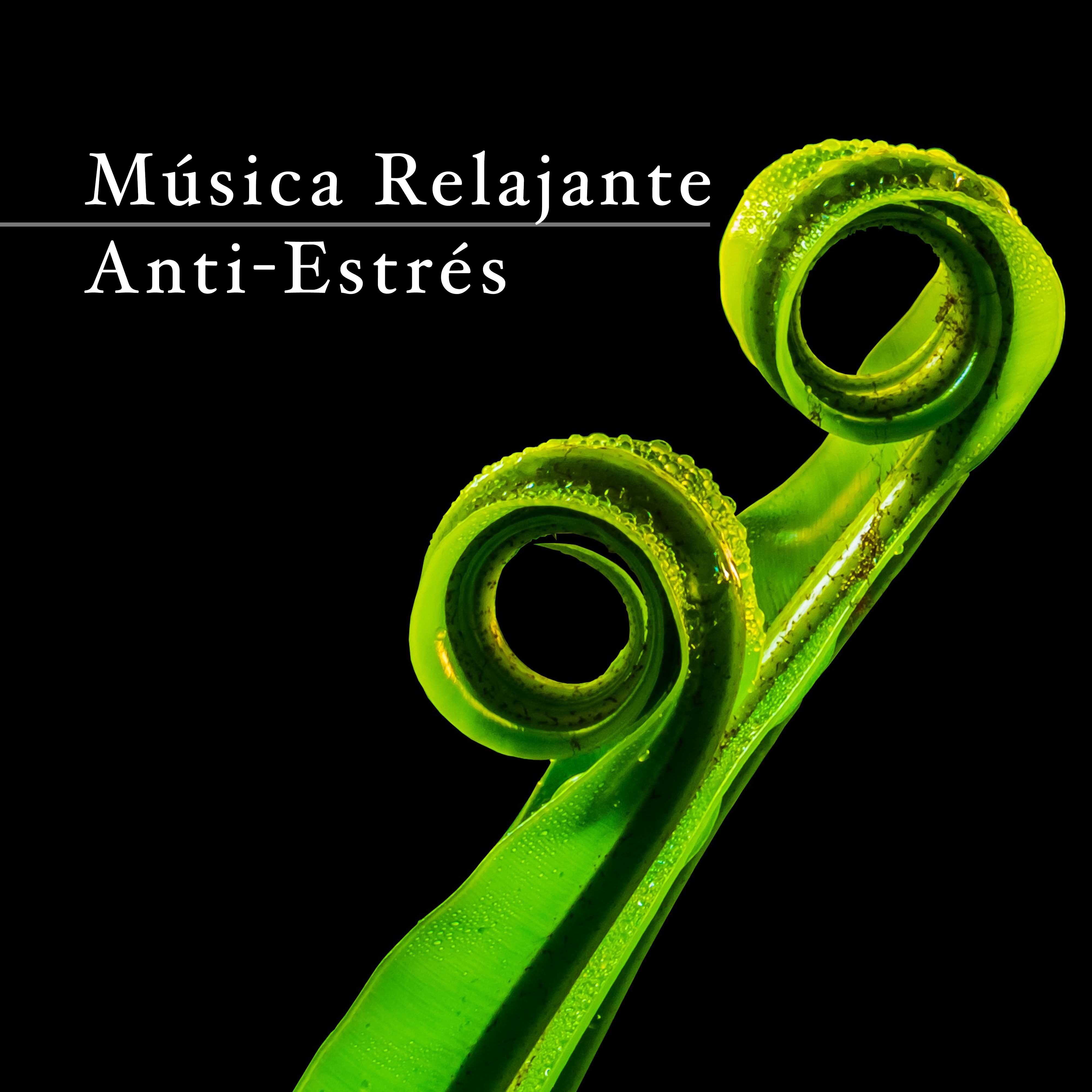 Musica Relajante AntiEstre s AntiStress Relaxing Music