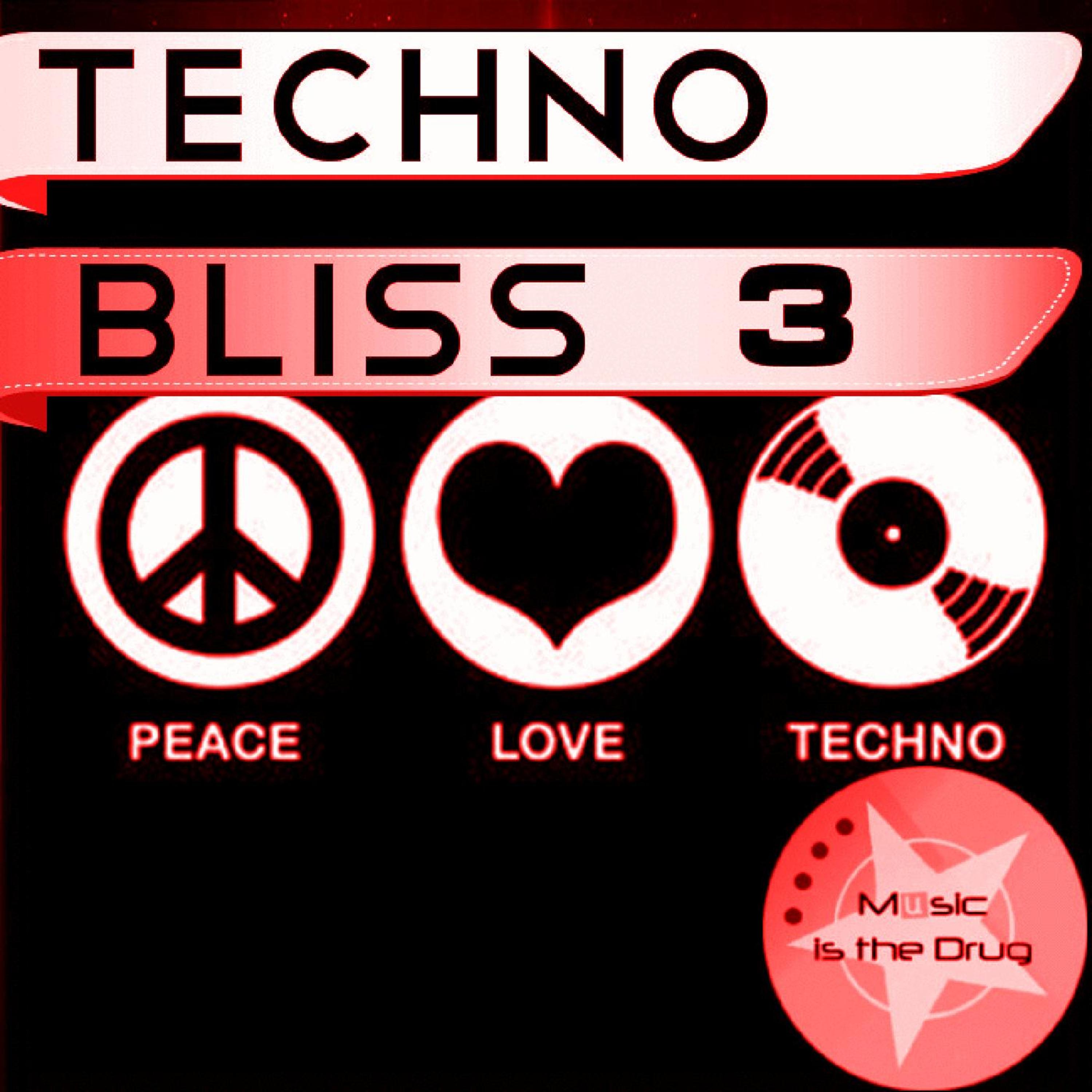 Techno Bliss Vol. 3
