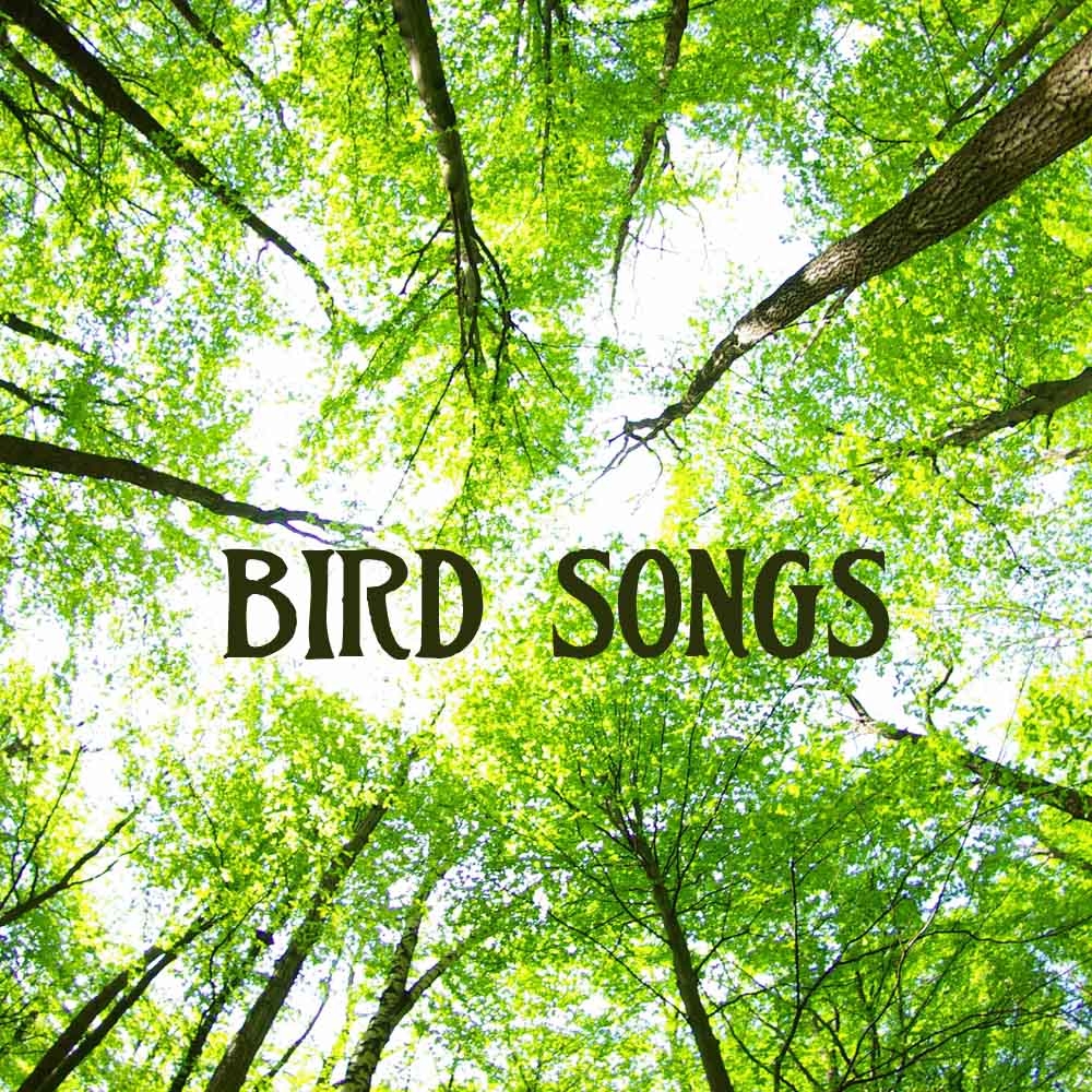 Sonate 10 no.1.1, with Bird Song