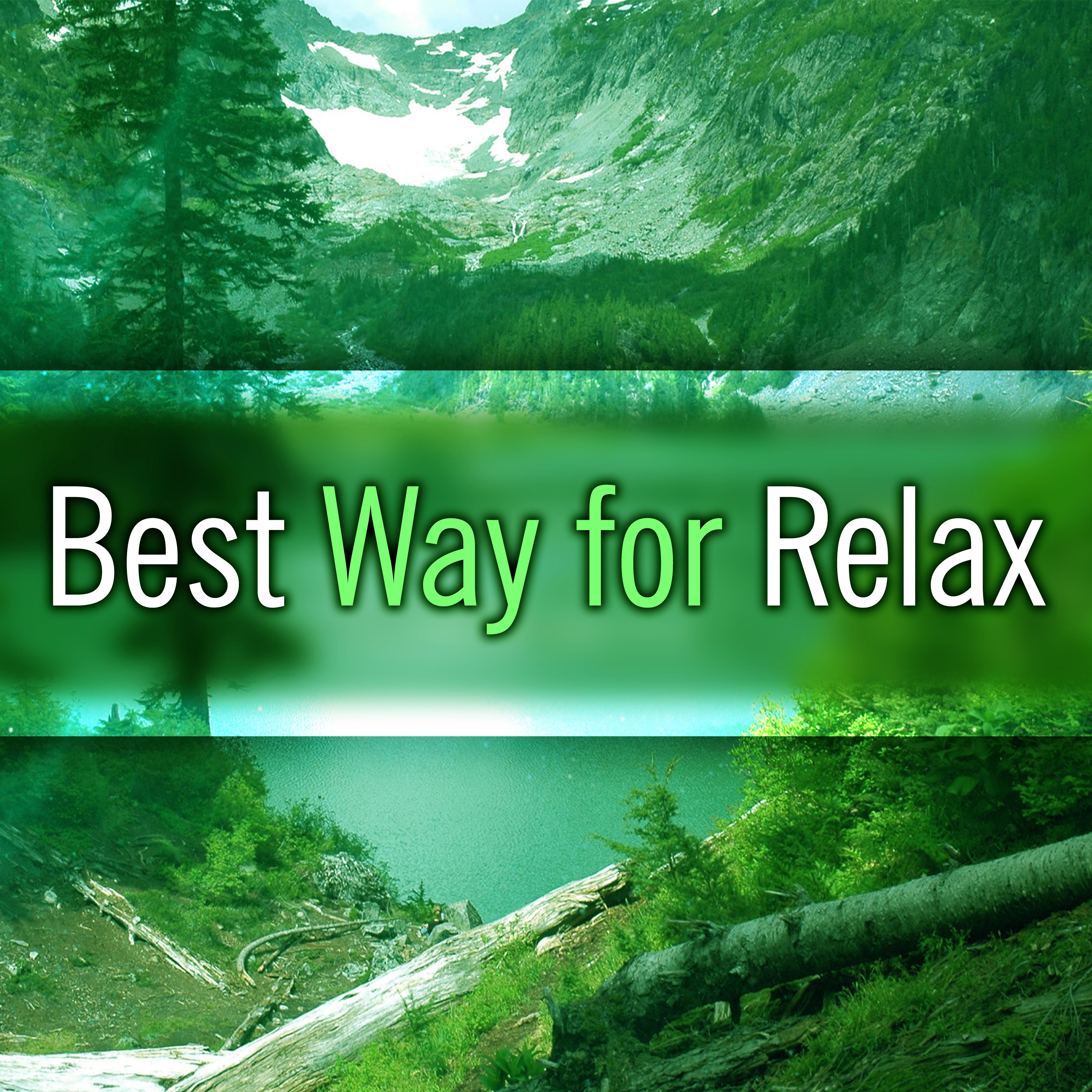 Best Way for Relax  Calming Sounds of Nature, Helpful for Calm Down and Rest, Healing Nature