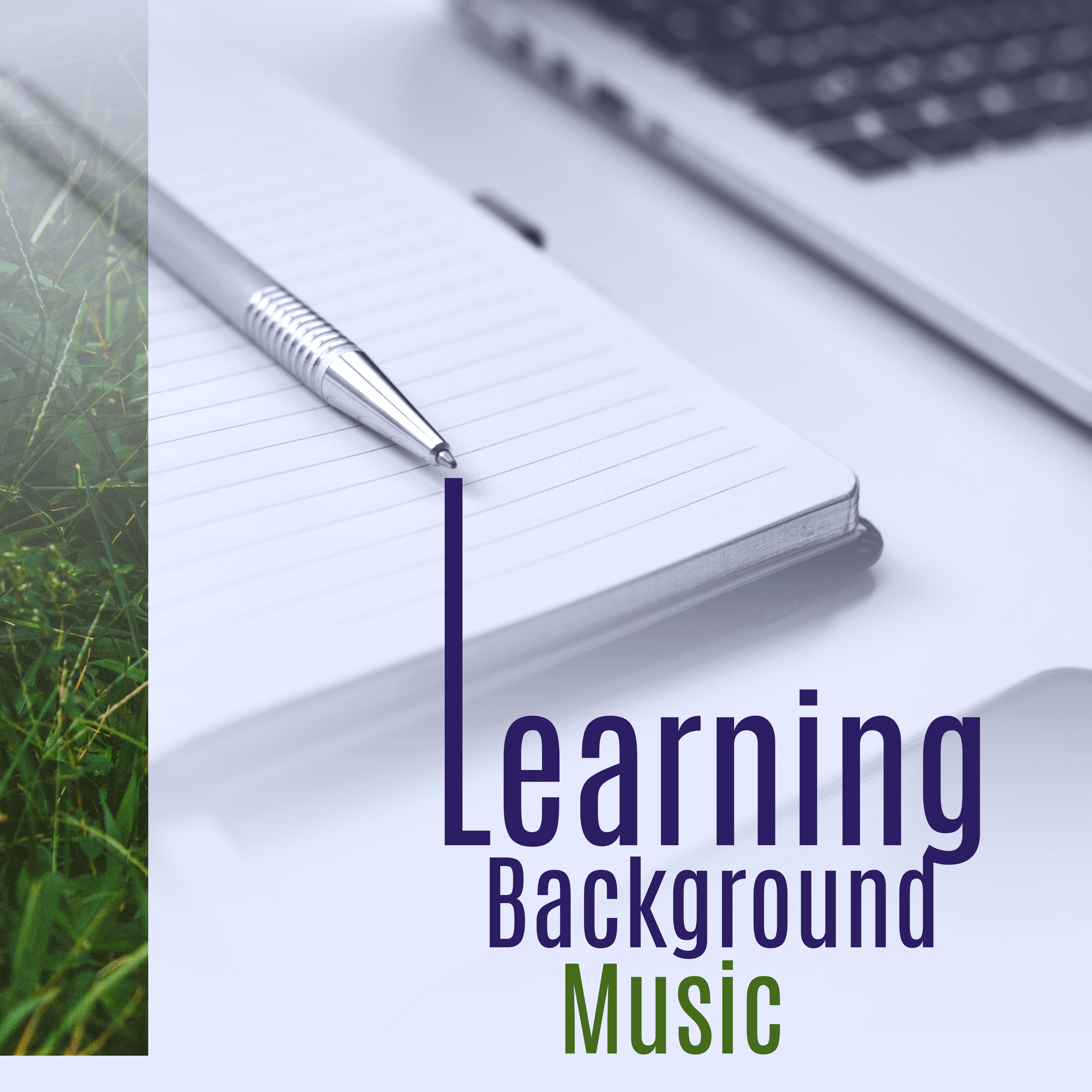 Learning Background Music  Soft Sounds of Nature, Relaxing Music, Easy Study, Keep Focus