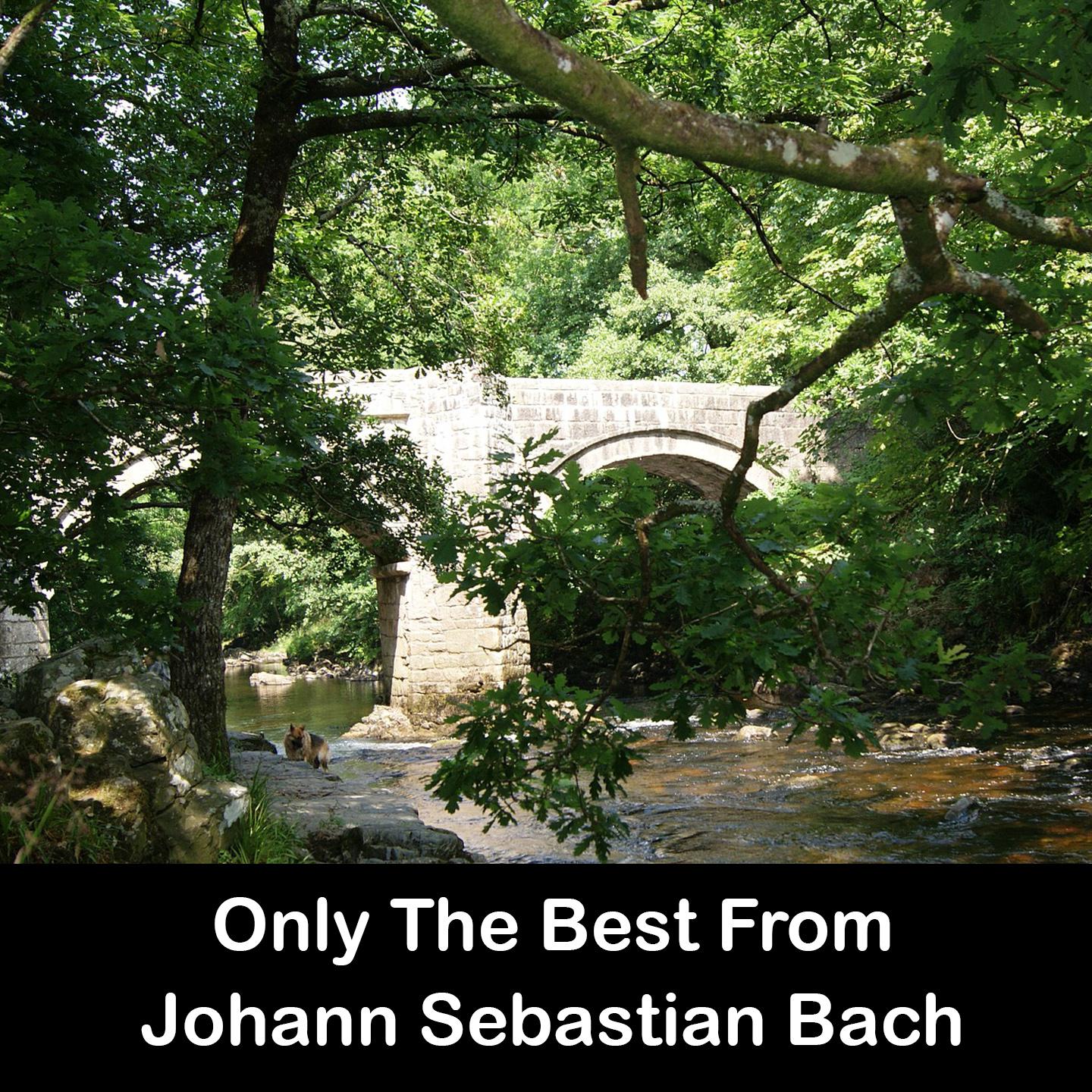 Only The Best From Johann Sebastian Bach