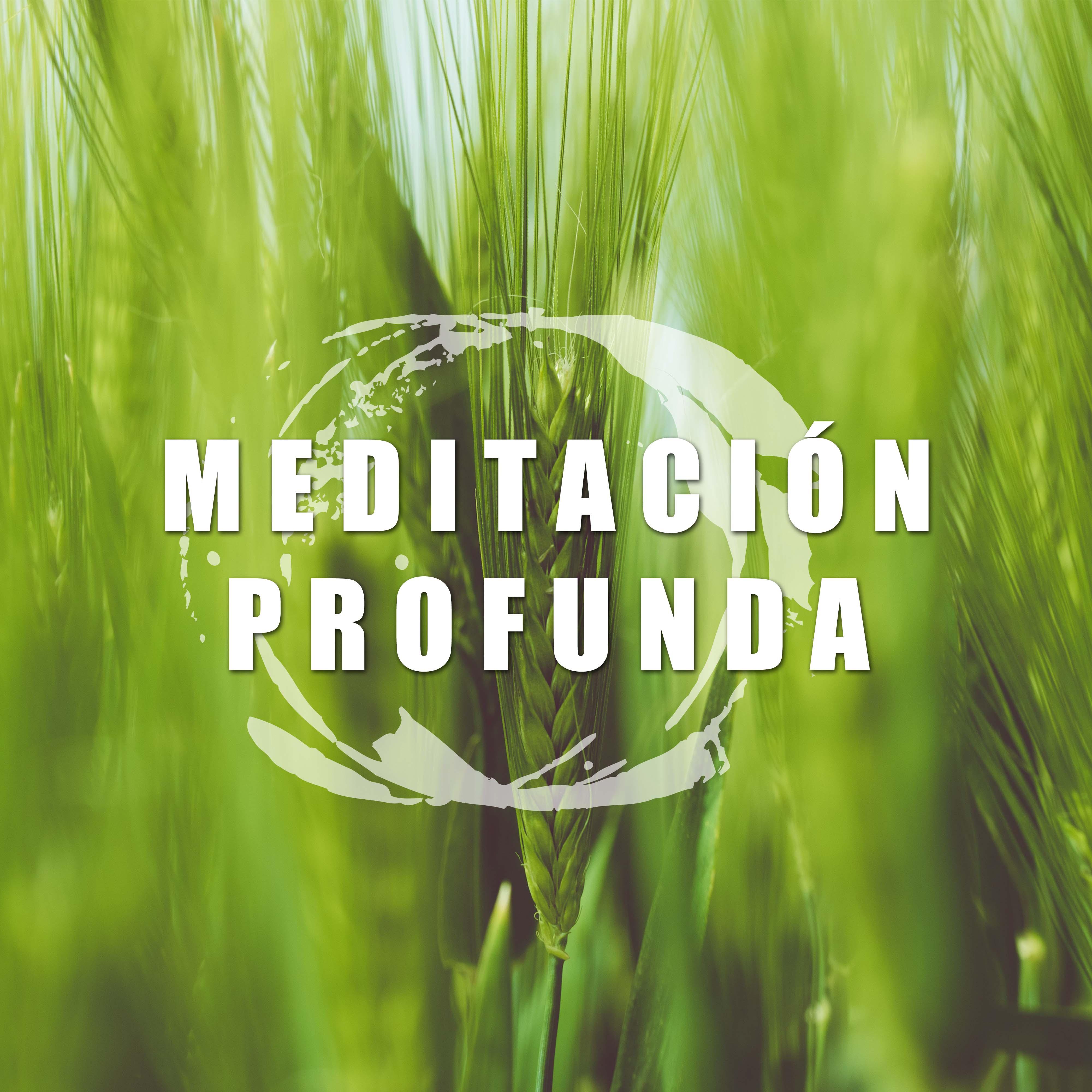 Meditacion Profunda - Musica Muy Relajante