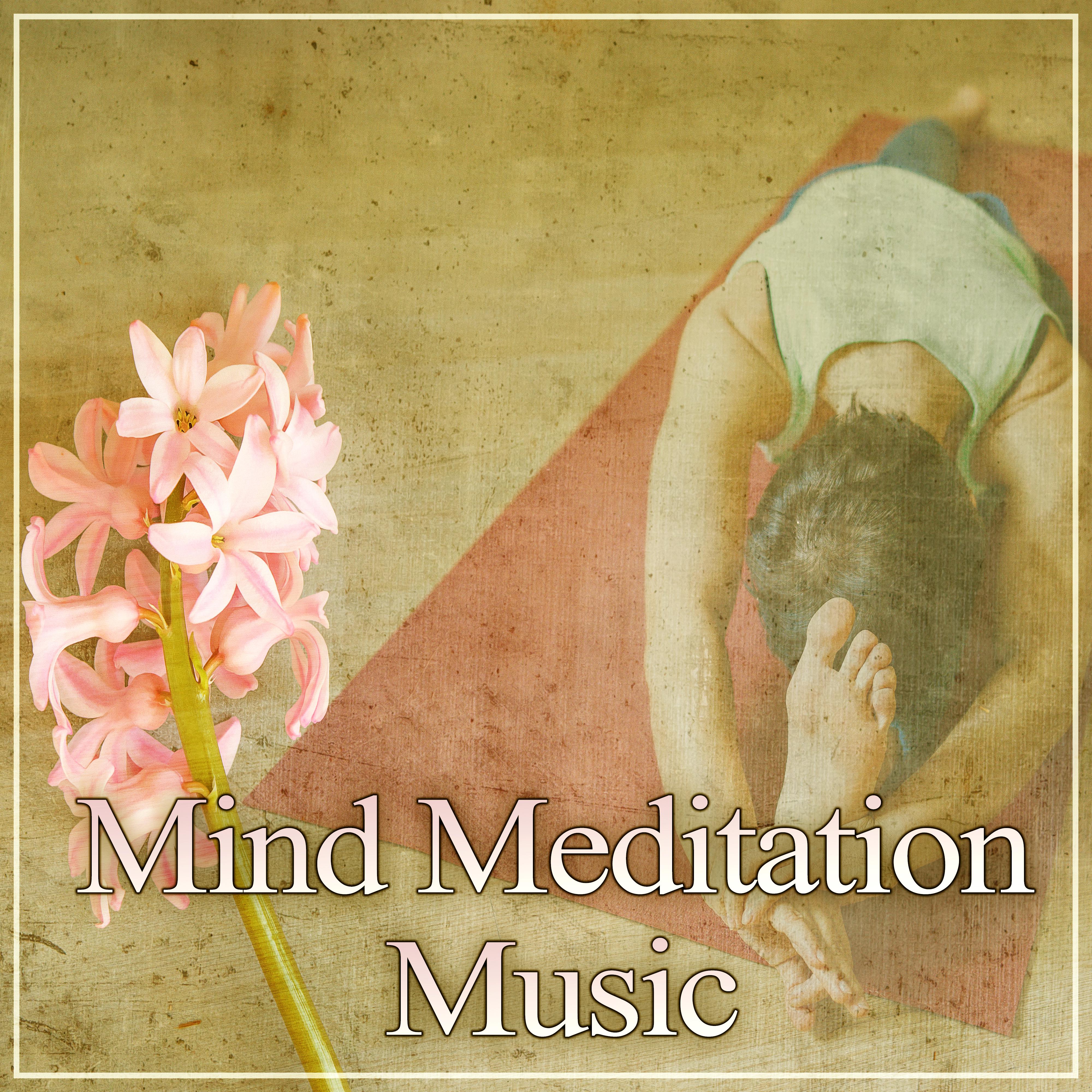 Mind Meditation Music  New Age Music for Relaxation, Feel Pure Mind with Healing Music, Calmness, Mindfulness Meditation