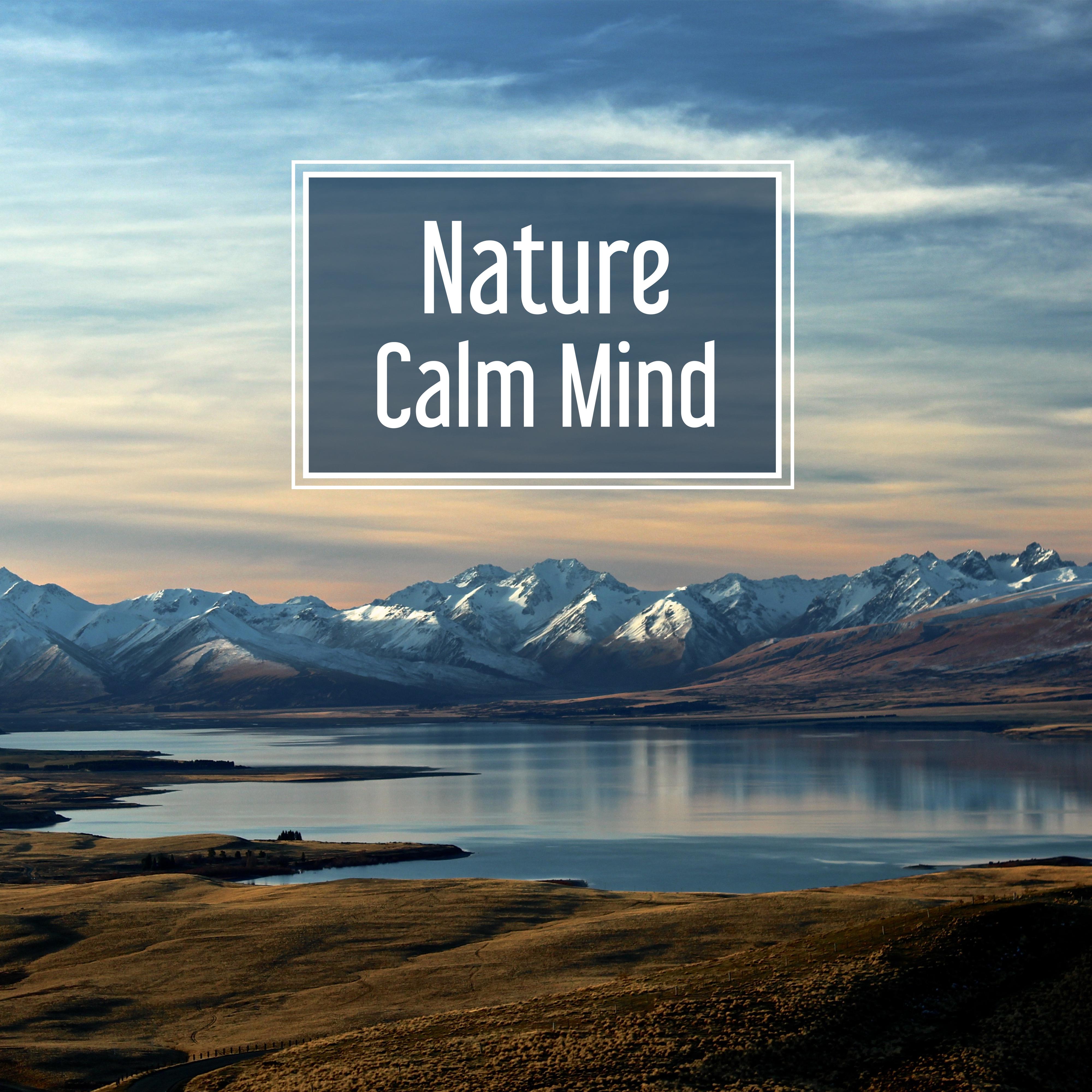 Nature Calm Mind  Soft Music for Relaxation, Nature Sounds, Deep Sleep, Soothing Rain, Singing Birds, Pure Mind