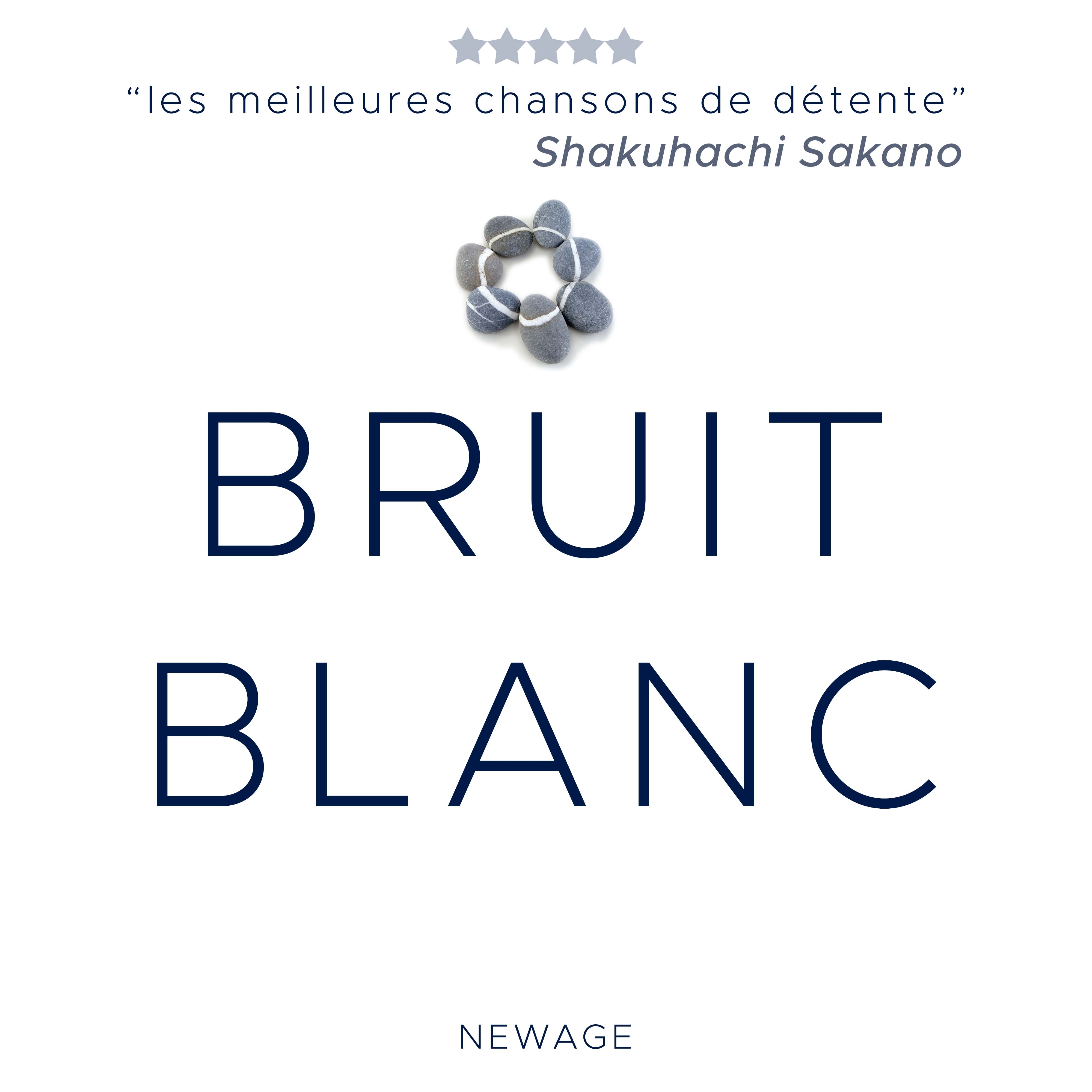 Bruit Blanc - Musique de Fond et Musique Instrumentale