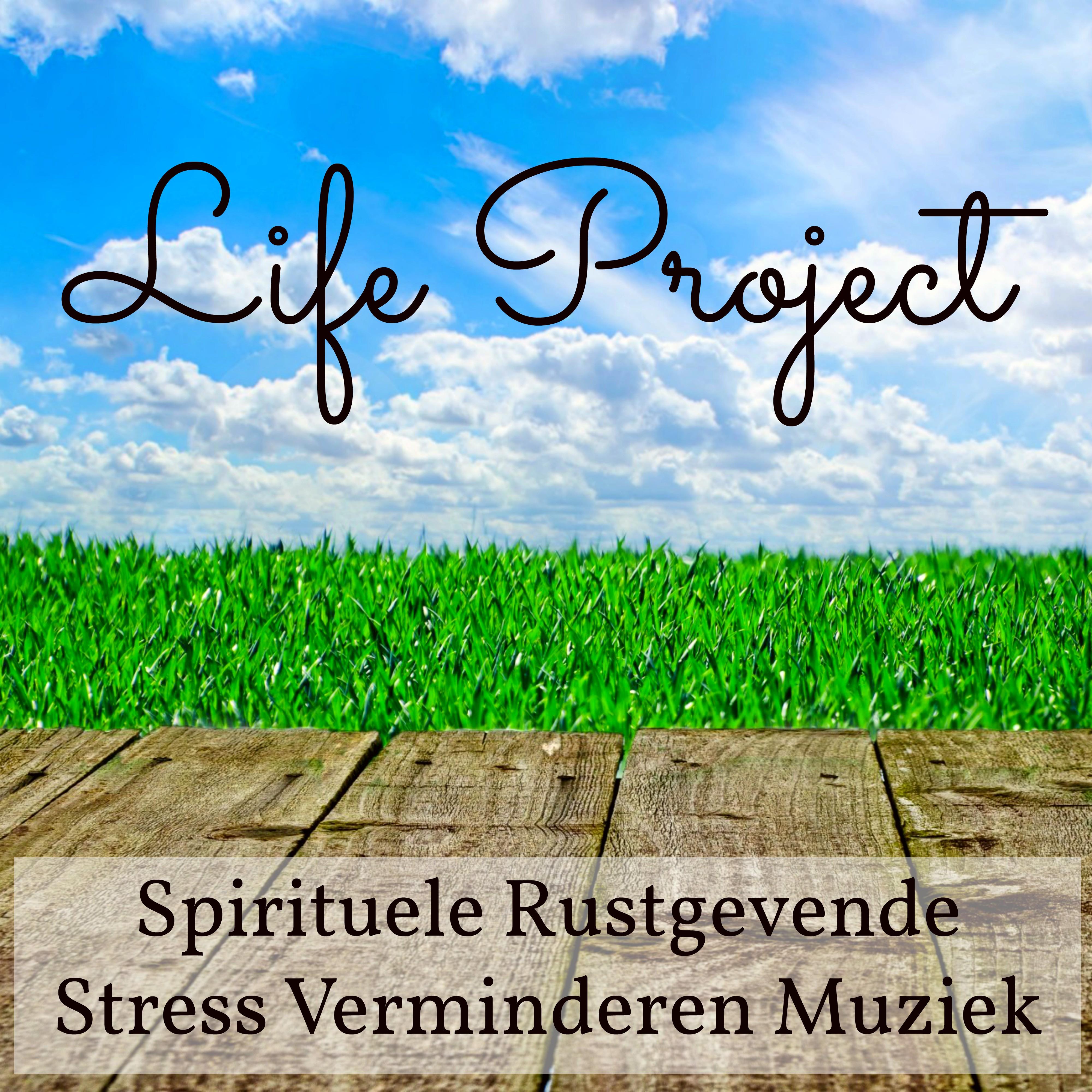 Life Project - Spirituele Rustgevende Stress Verminderen Muziek met New Age Instrumentale Meditatieve Geluiden