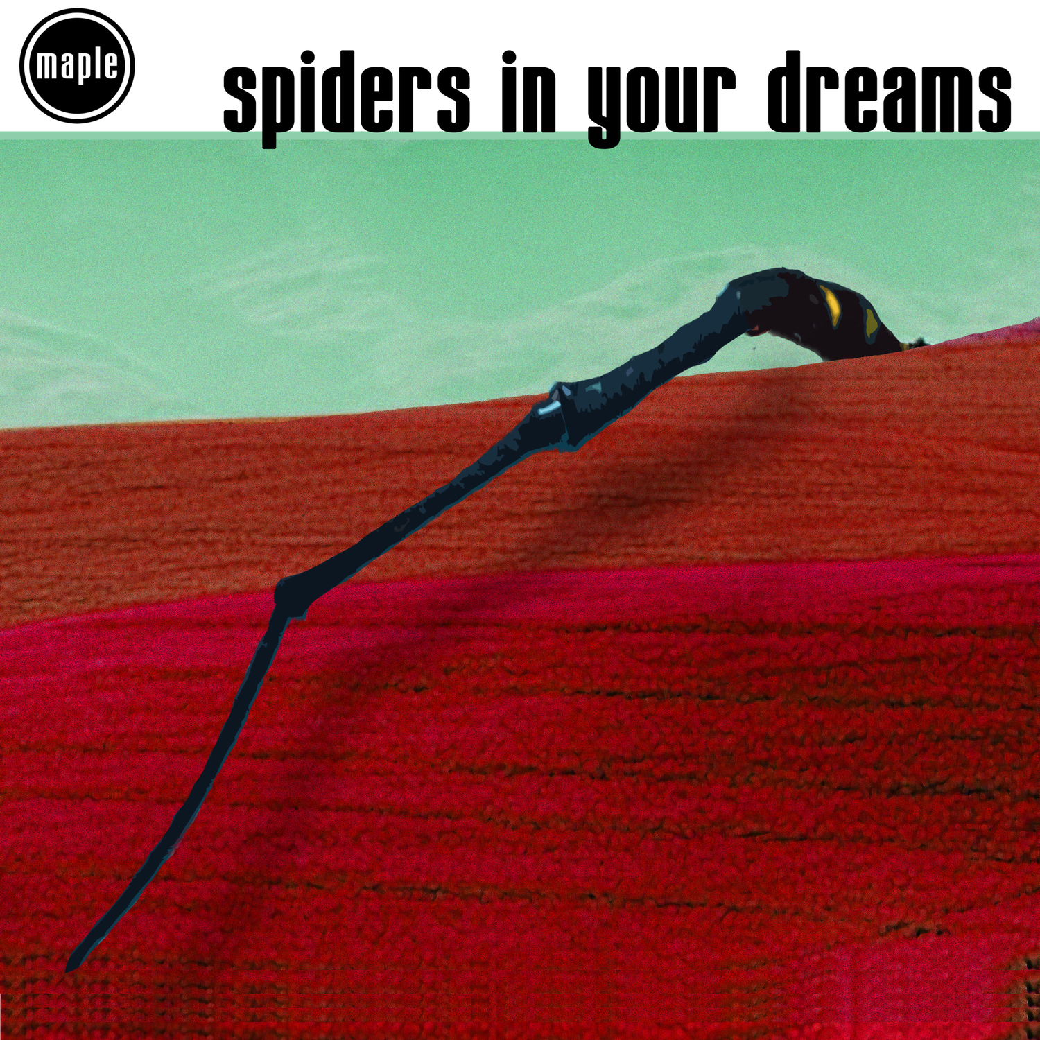 Spiders In Your Dreams