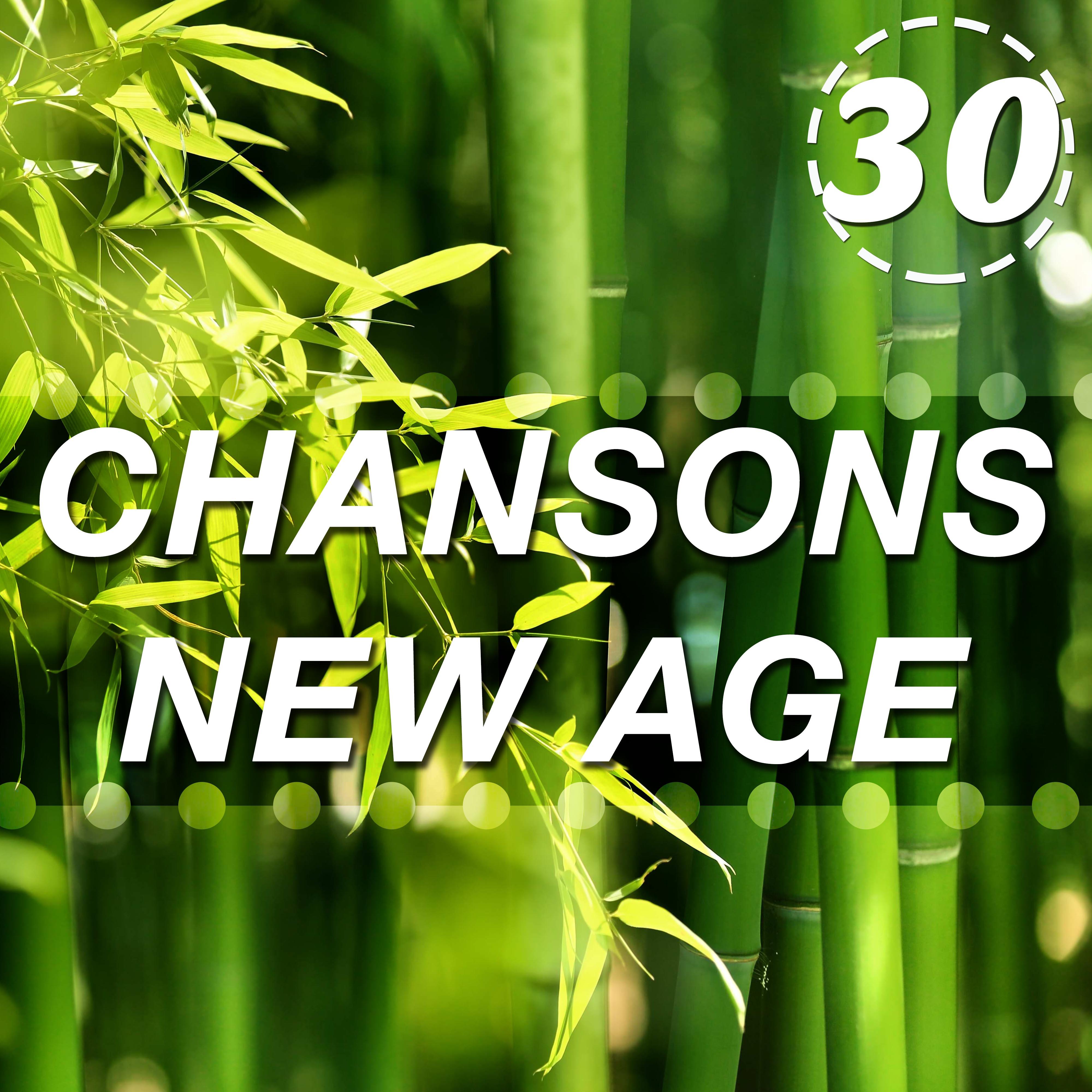 30 Chansons New Age pour se De tendre Vraiment  Ils comprennent la Pluie, les Vagues de l' Oce an et d' autres Sons de la Nature