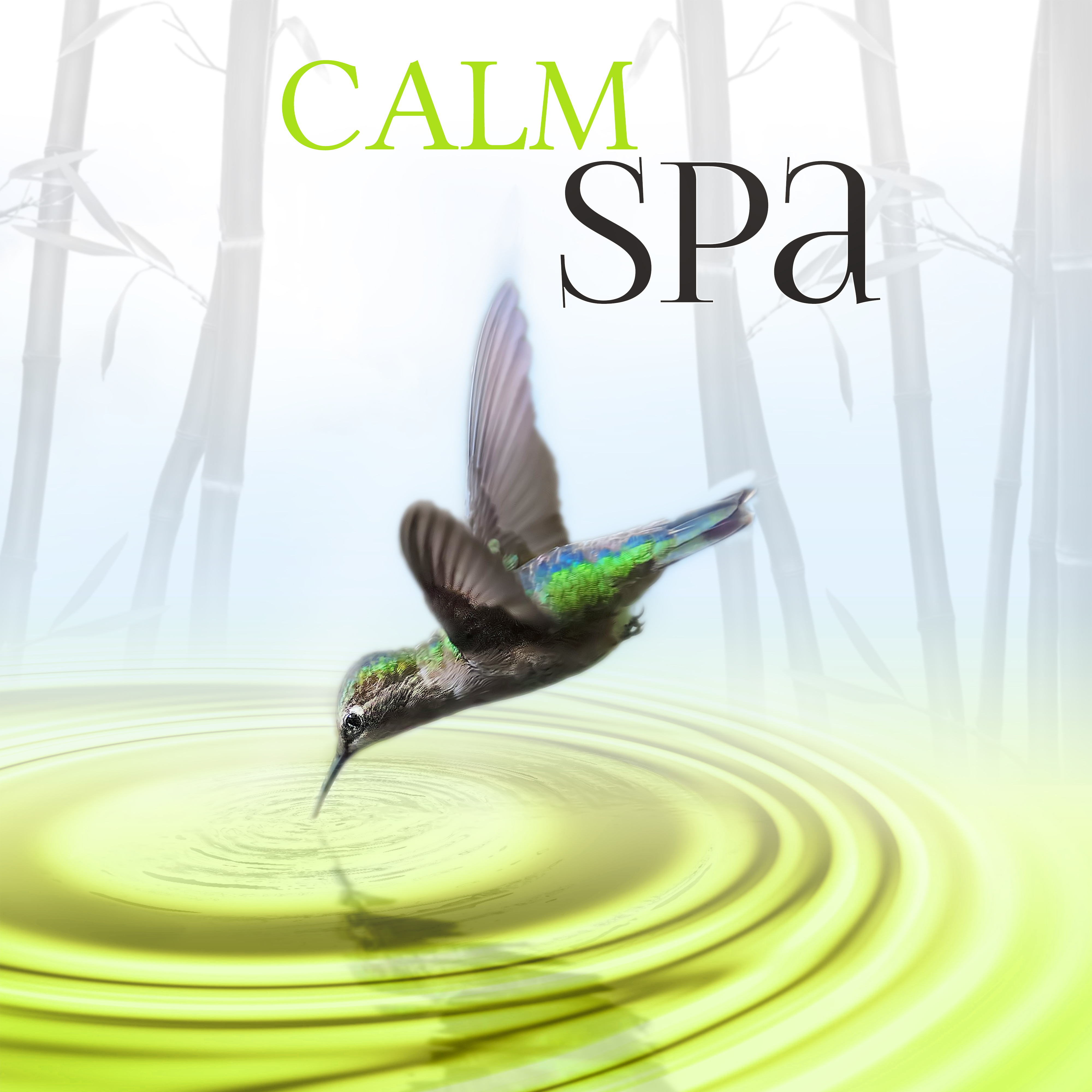 Calm Spa  Bliss Spa, Time for Me, Easy Listening, Nature Sounds, Calm Down, Gentle Ambient Music