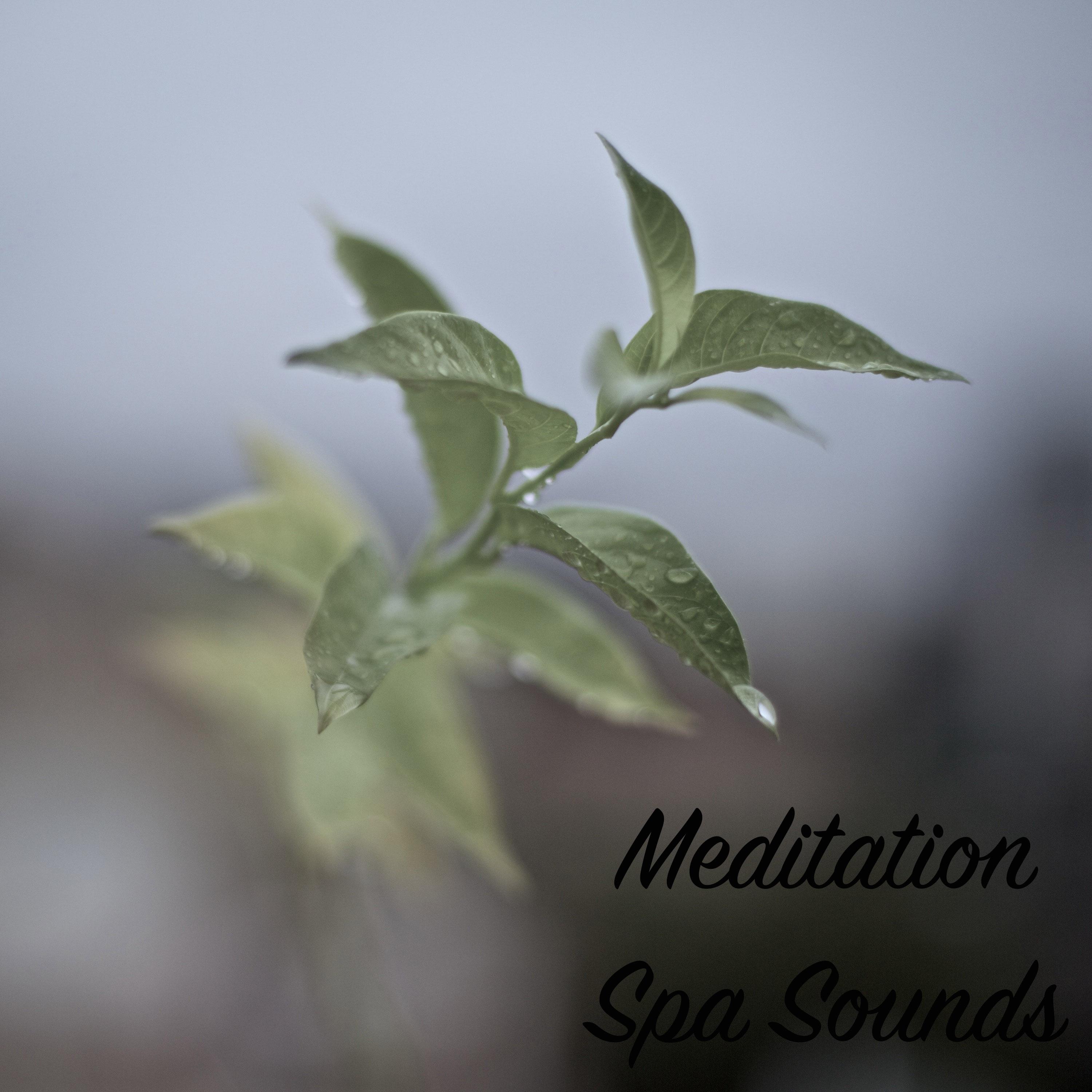 15 Relaxing Meditation & Spa Sounds