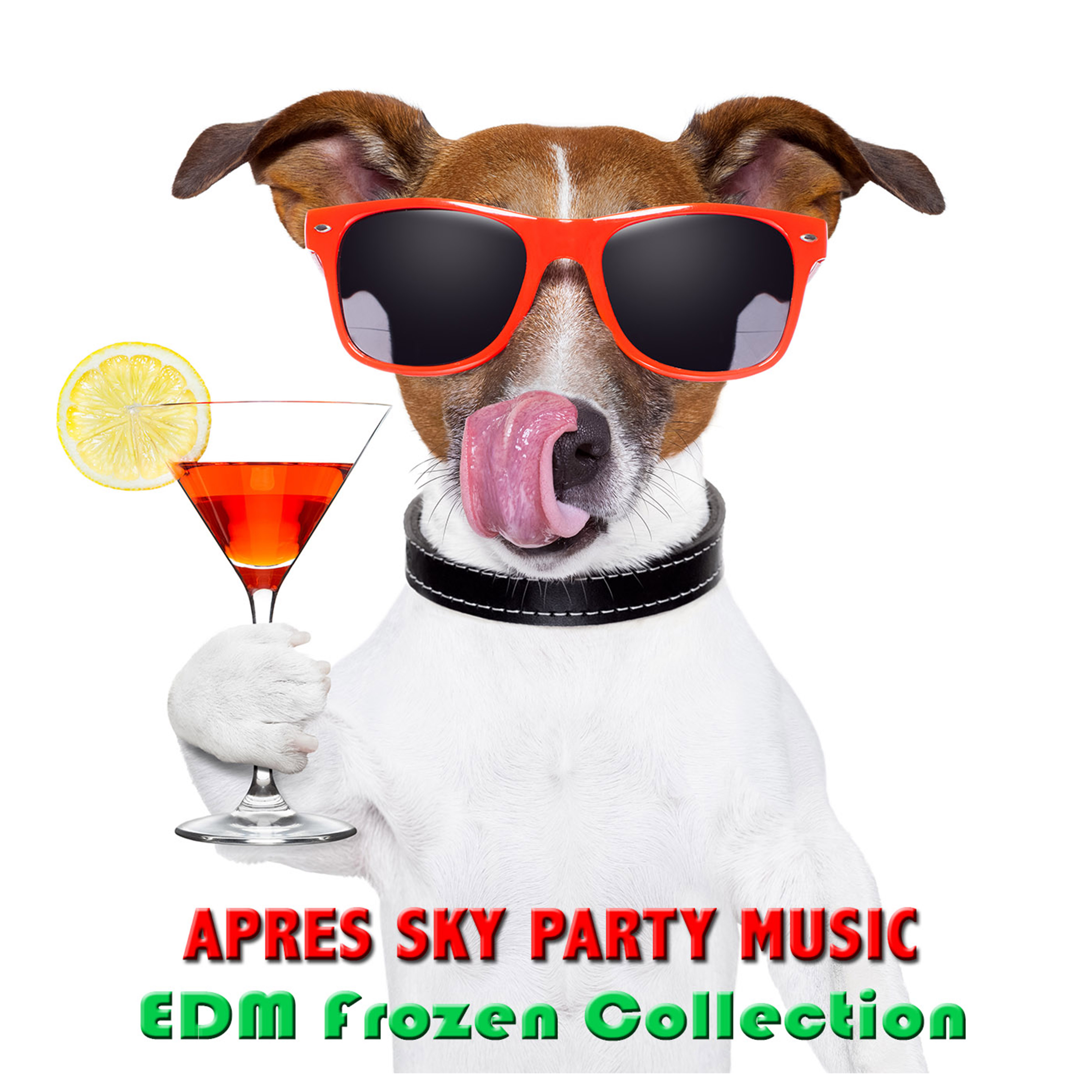 Apres Ski Party Music (EDM Frozen Collection) - Top EDM Songs, Cocktail & Drinks Elektronische Winter Party Musik Mix