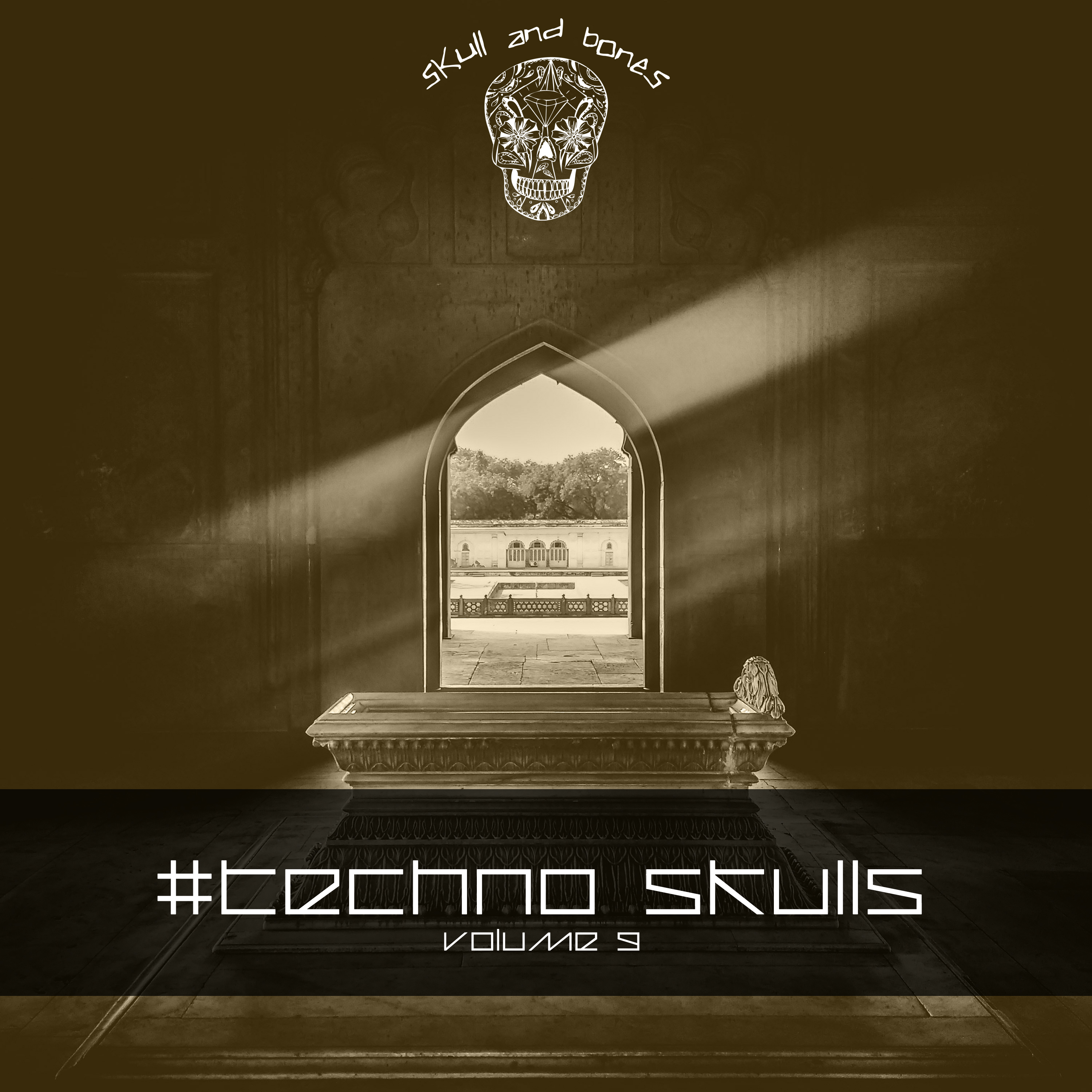 Techno Skulls, Vol. 9