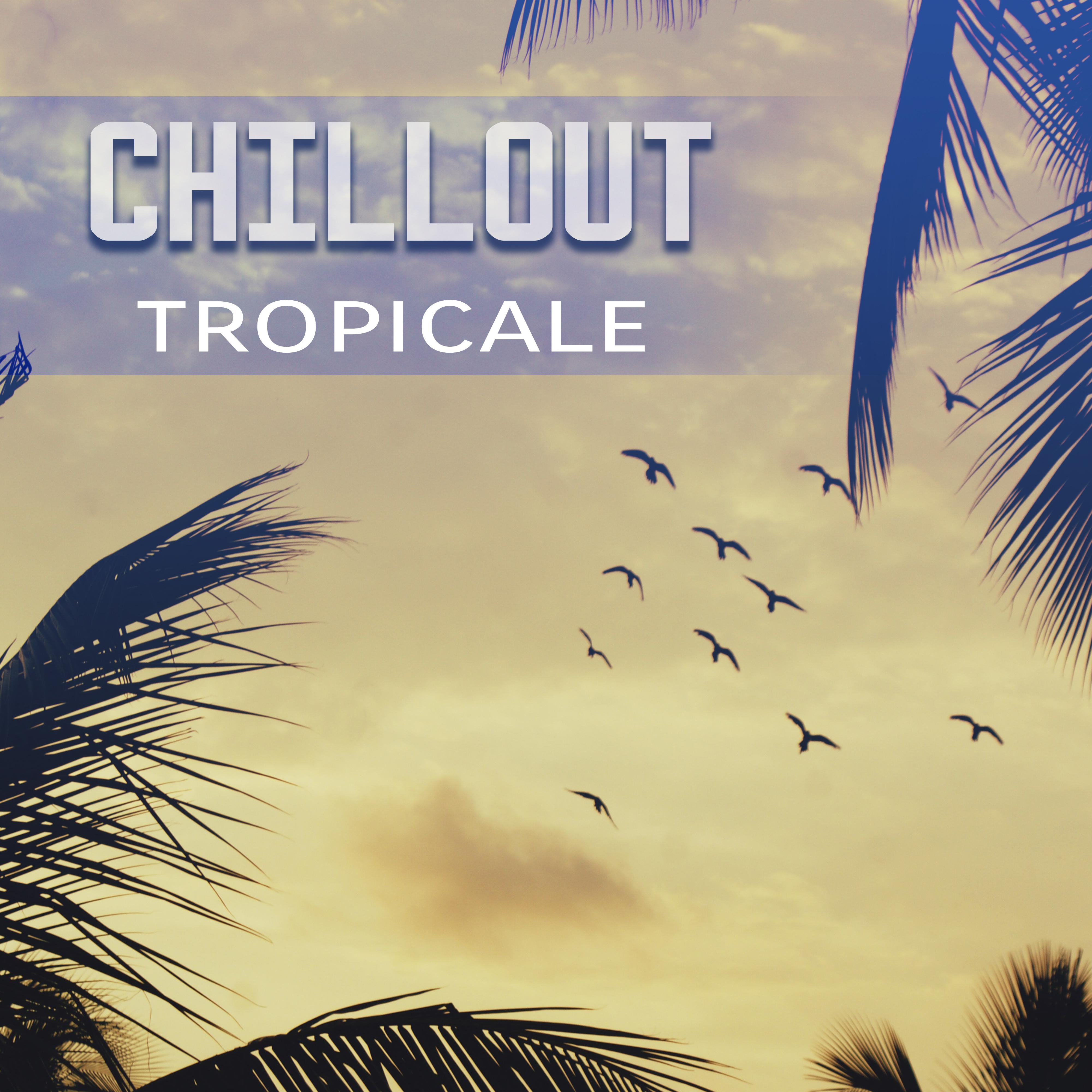 Chillout tropicale - Sole estivo, Mente calma, Musica per riposare, Acqua refrigerata