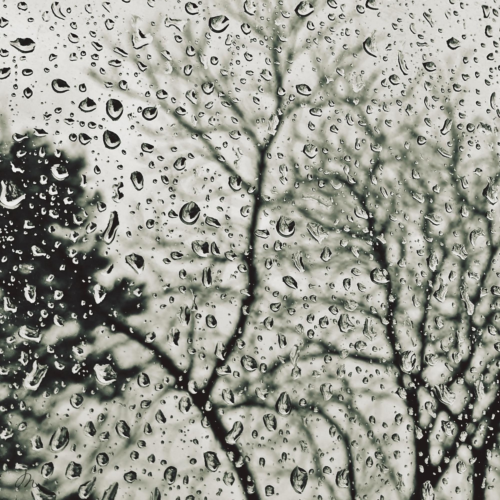 into the Rain Collection: 11 Gentle Nature Sounds for Blissful Sleep and Relaxation