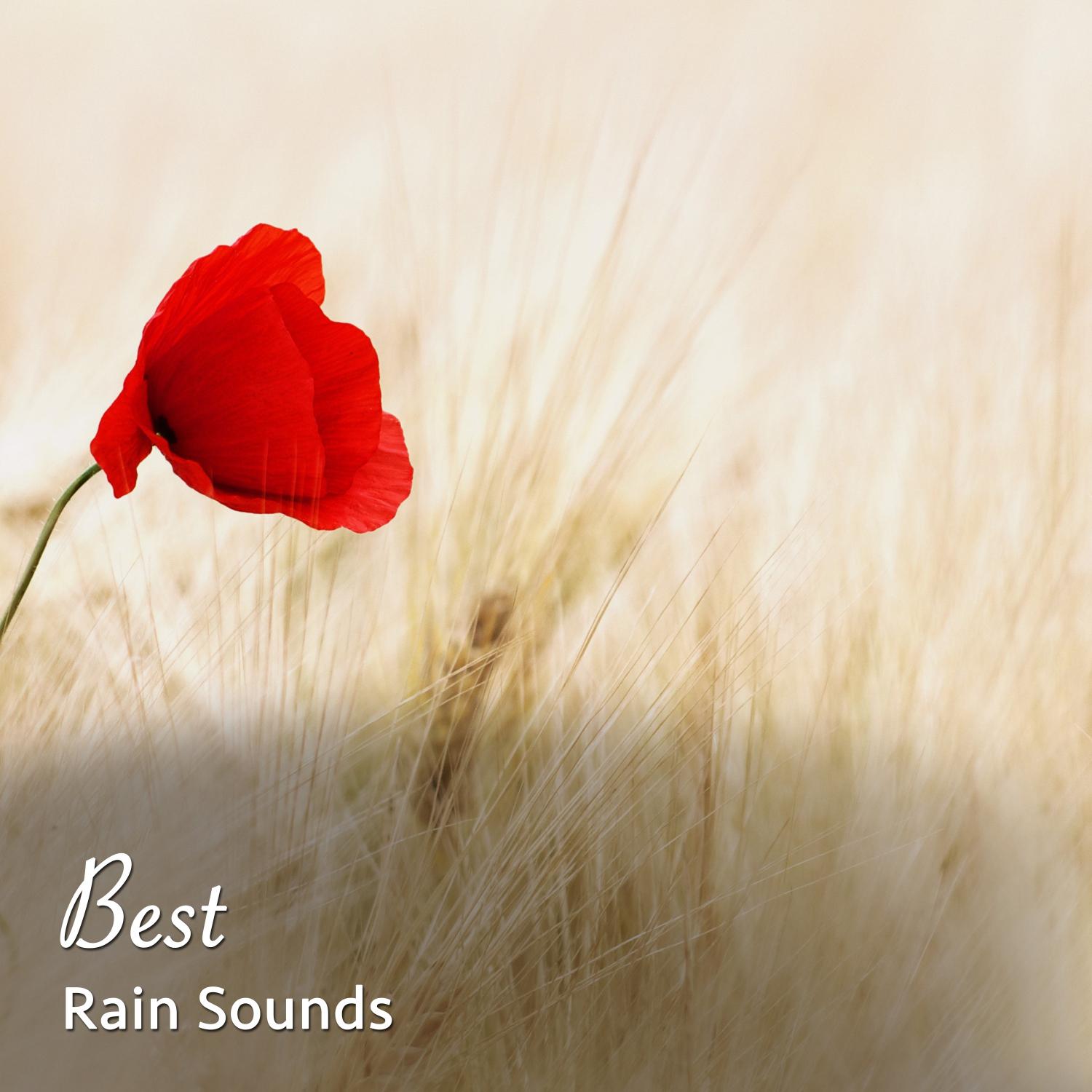 #1 Best Rain and Nature Sounds - Heavy Rain, Storms and Lightning