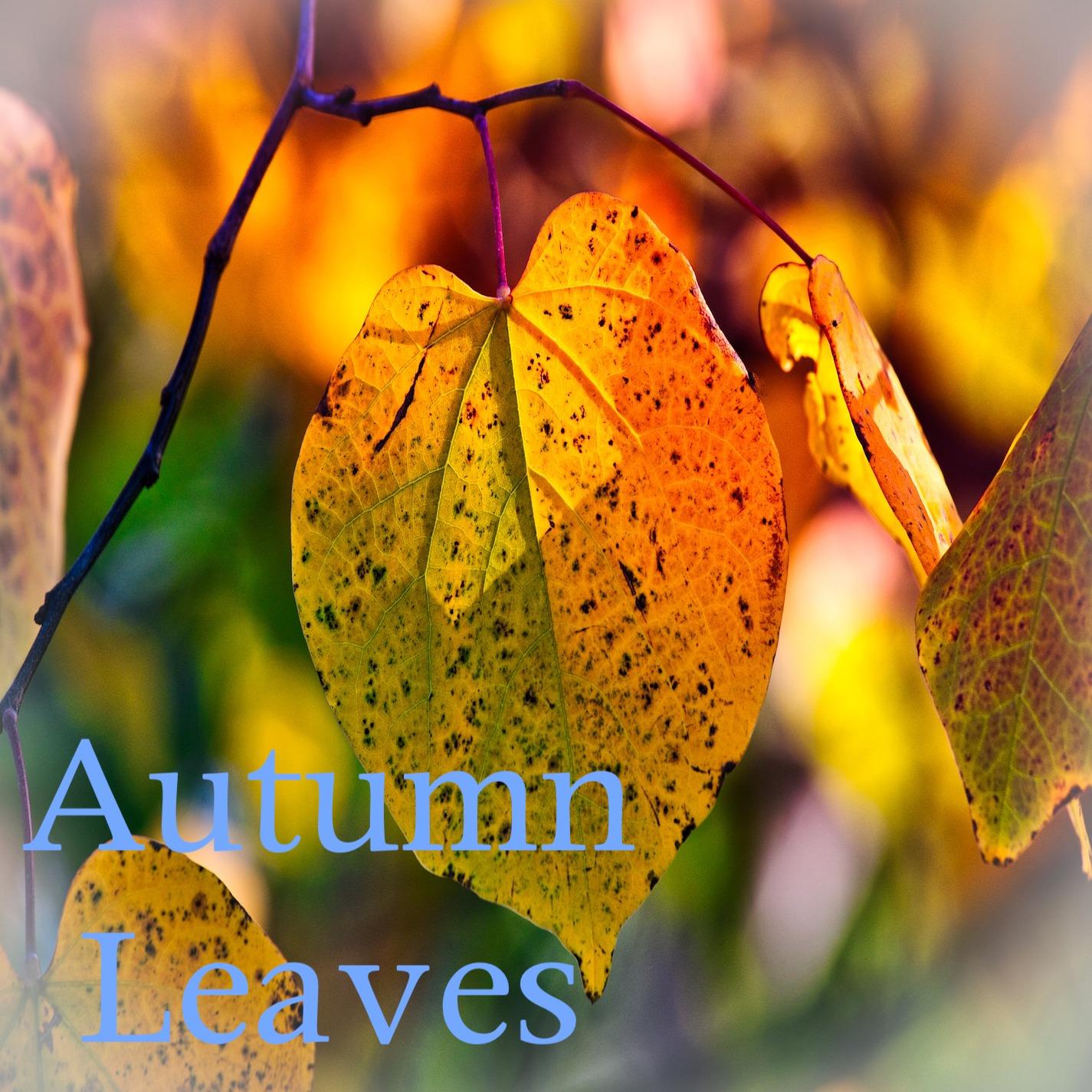 Autumn Leaves (single)
