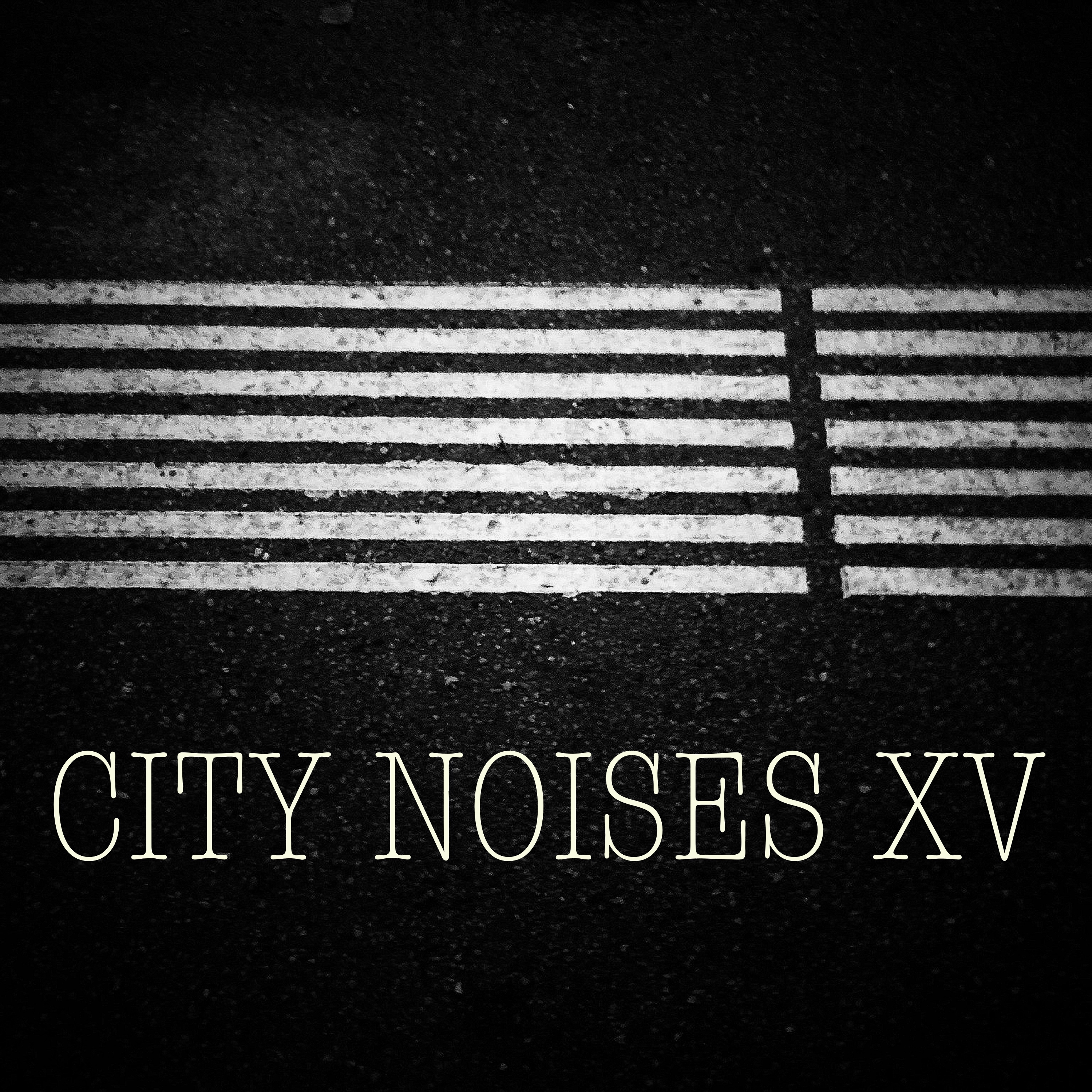 City Noises XV - Raw Techno Cuts