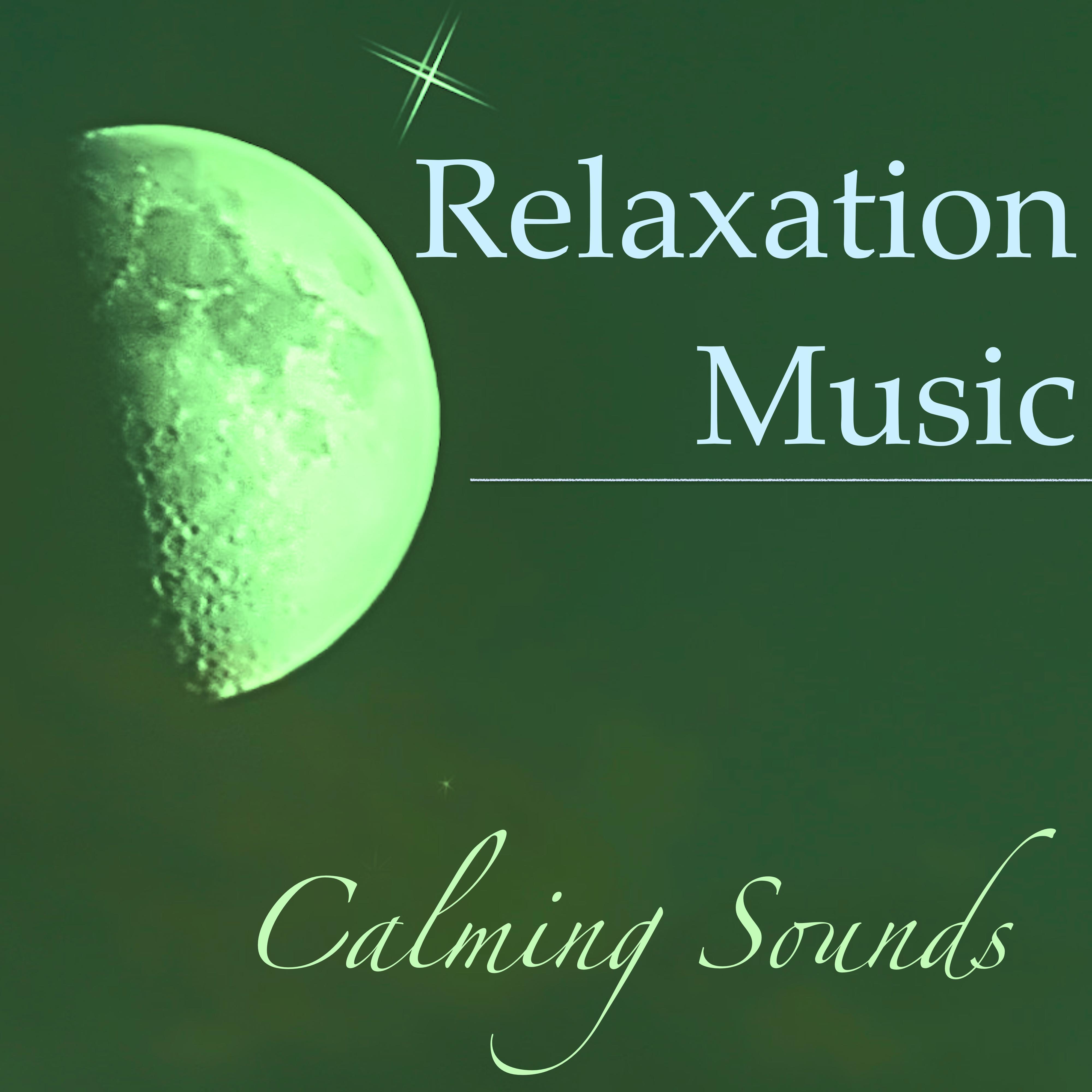 Relaxation Music: Calming Sounds of Nature for Meditation Beginners  Chill Out Music for Reiki, Yoga Morning Salutation  Zen