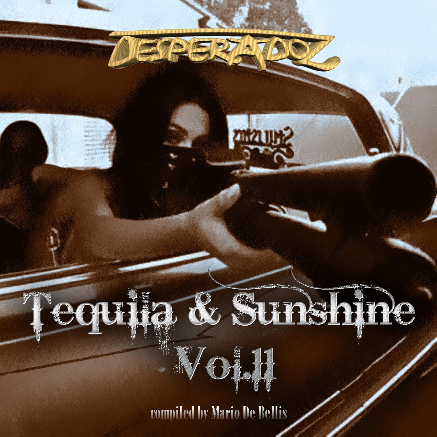 Tequila & Sunshine, Vol. 11