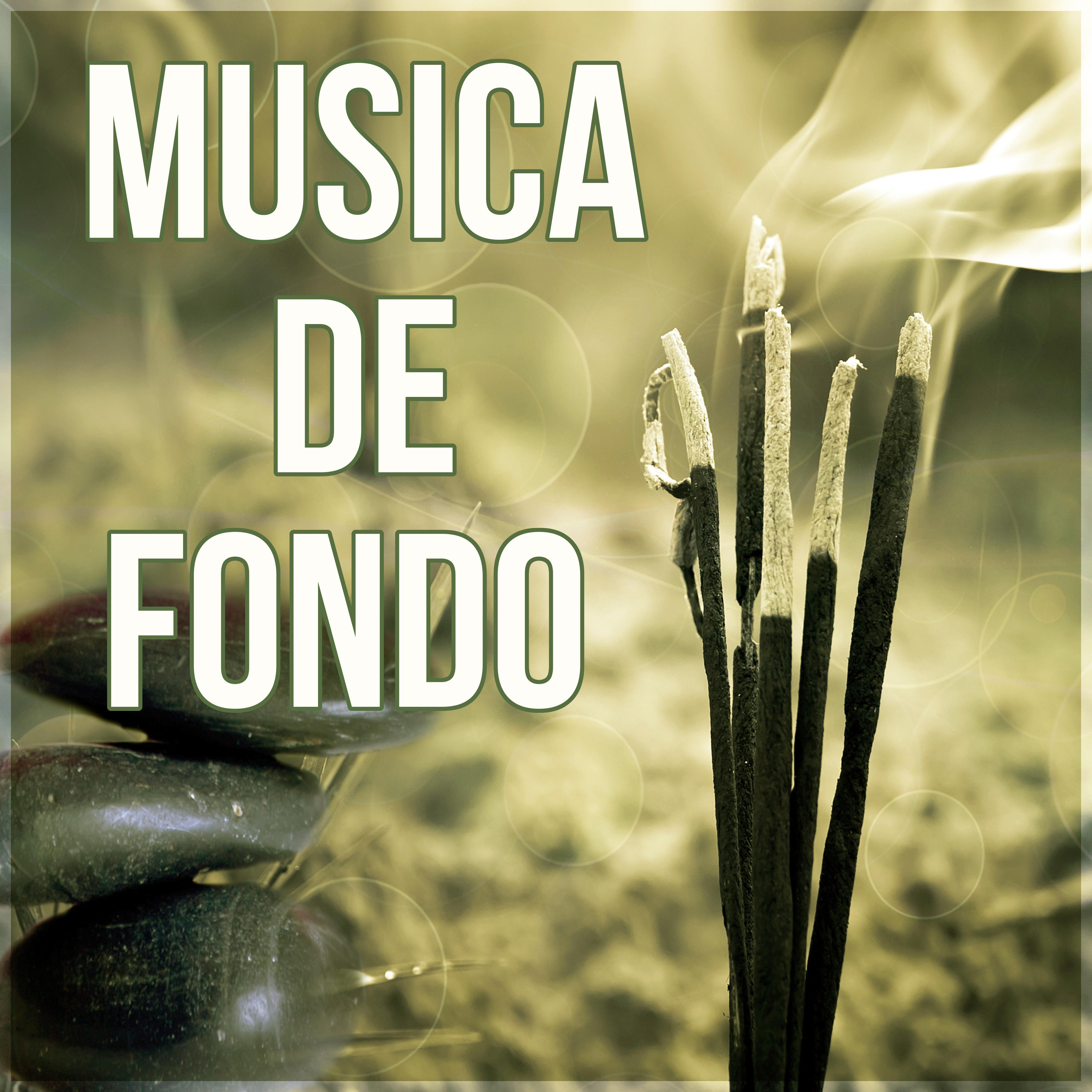 Musica de Fondo  Meditar, Canciones para Relajarse, Musica New Age de Reiki, Meditacion, Spa Musica