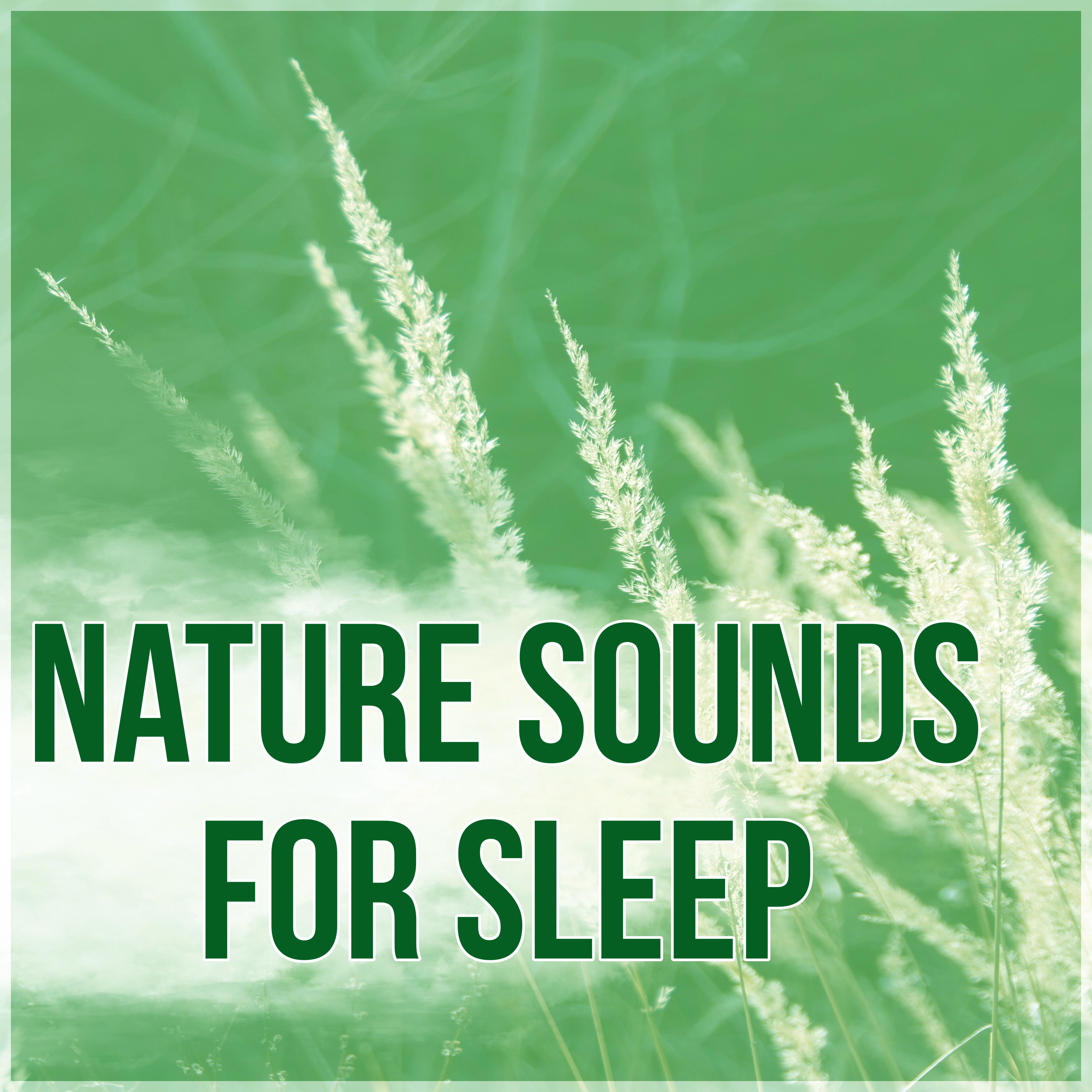 Nature Sounds for Sleep - Music and Sounds of Nature for Deep Sleep, Relaxing Sounds and Long Sleeping Songs to Help You Relax at Night, Massage Therapy & Relaxation