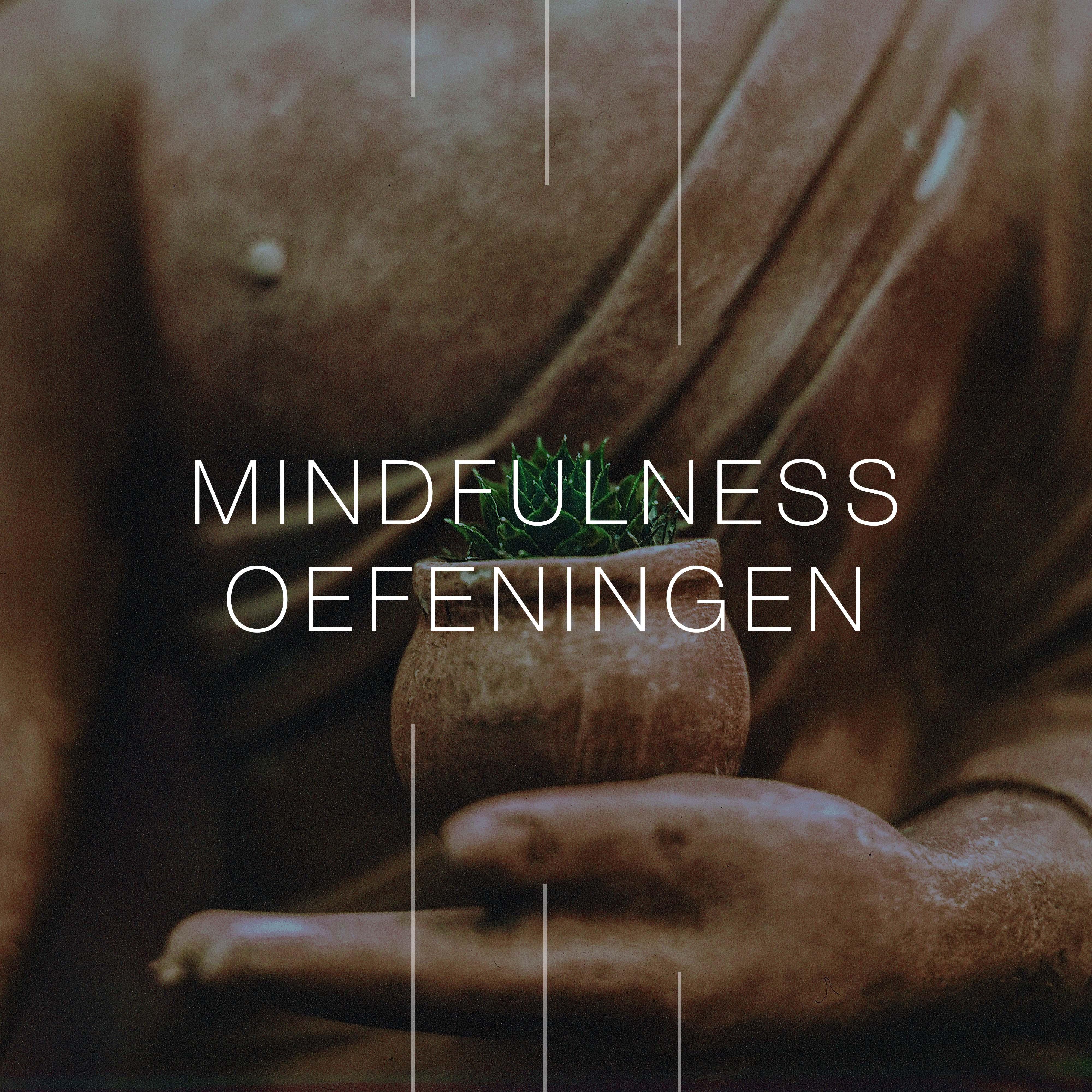 Mindfulness Oefeningen