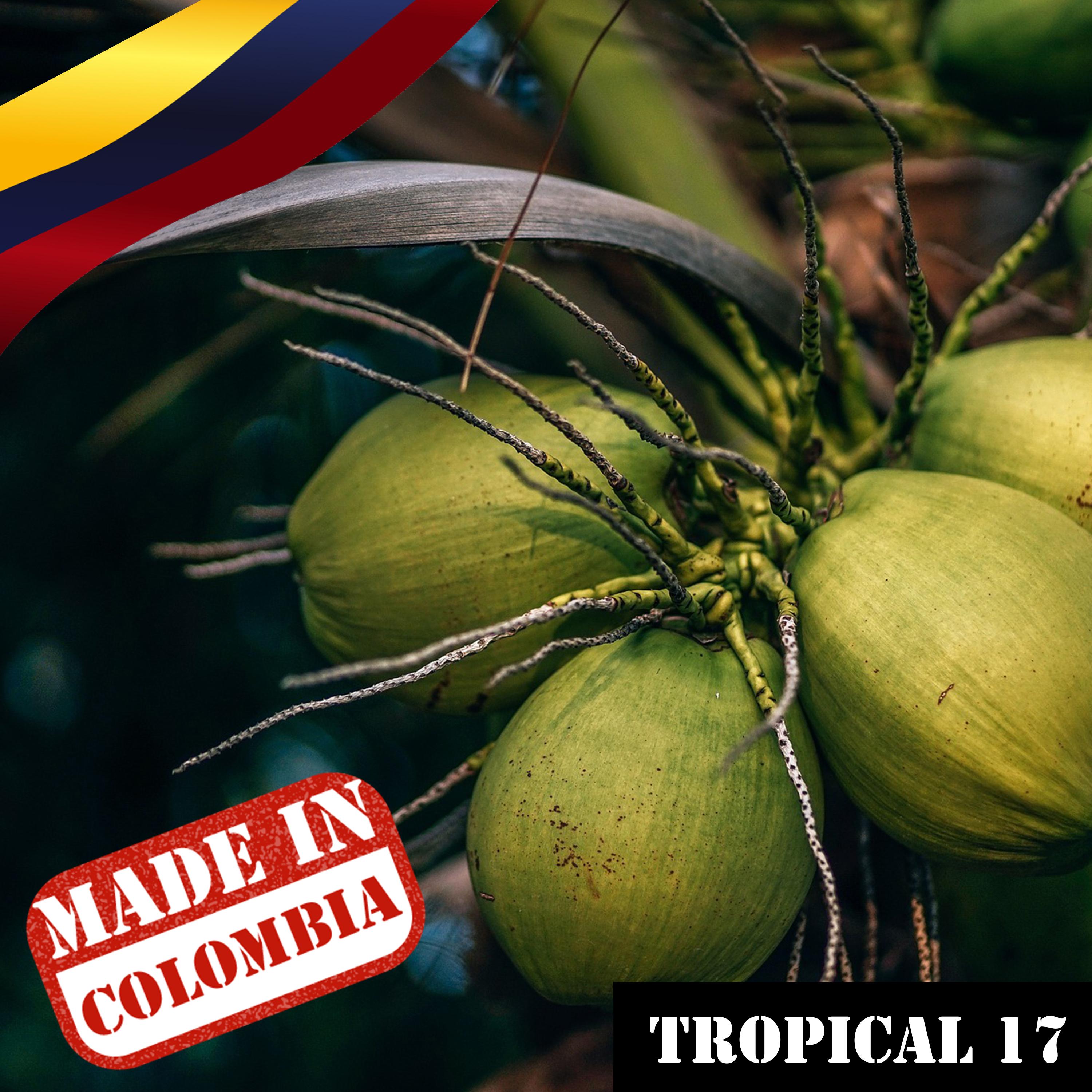 Made In Colombia / Tropical / 17