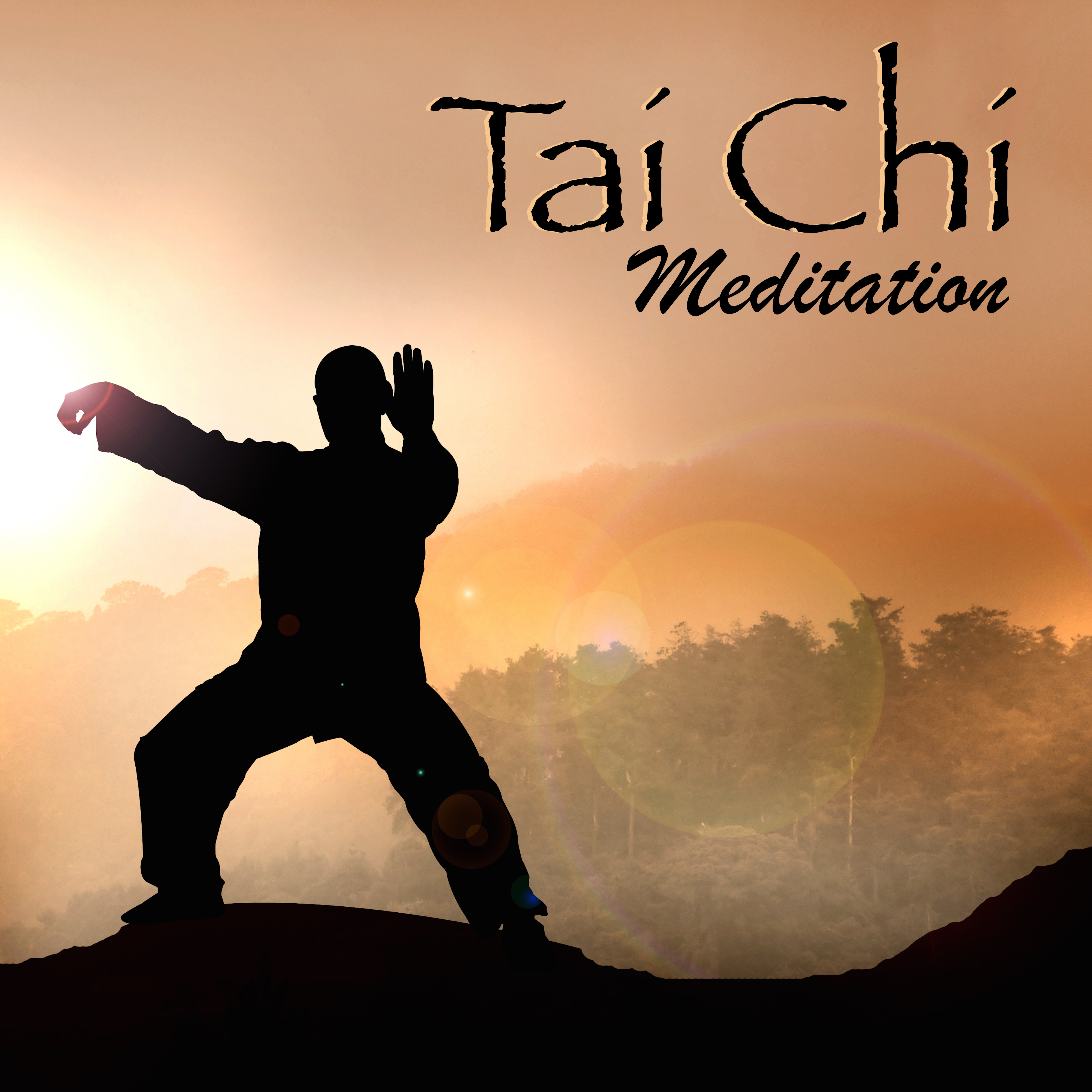 Tai Chi Meditation - Tai Chi & Qi Gong Music Playlist for Meditation & Spiritual Fitness