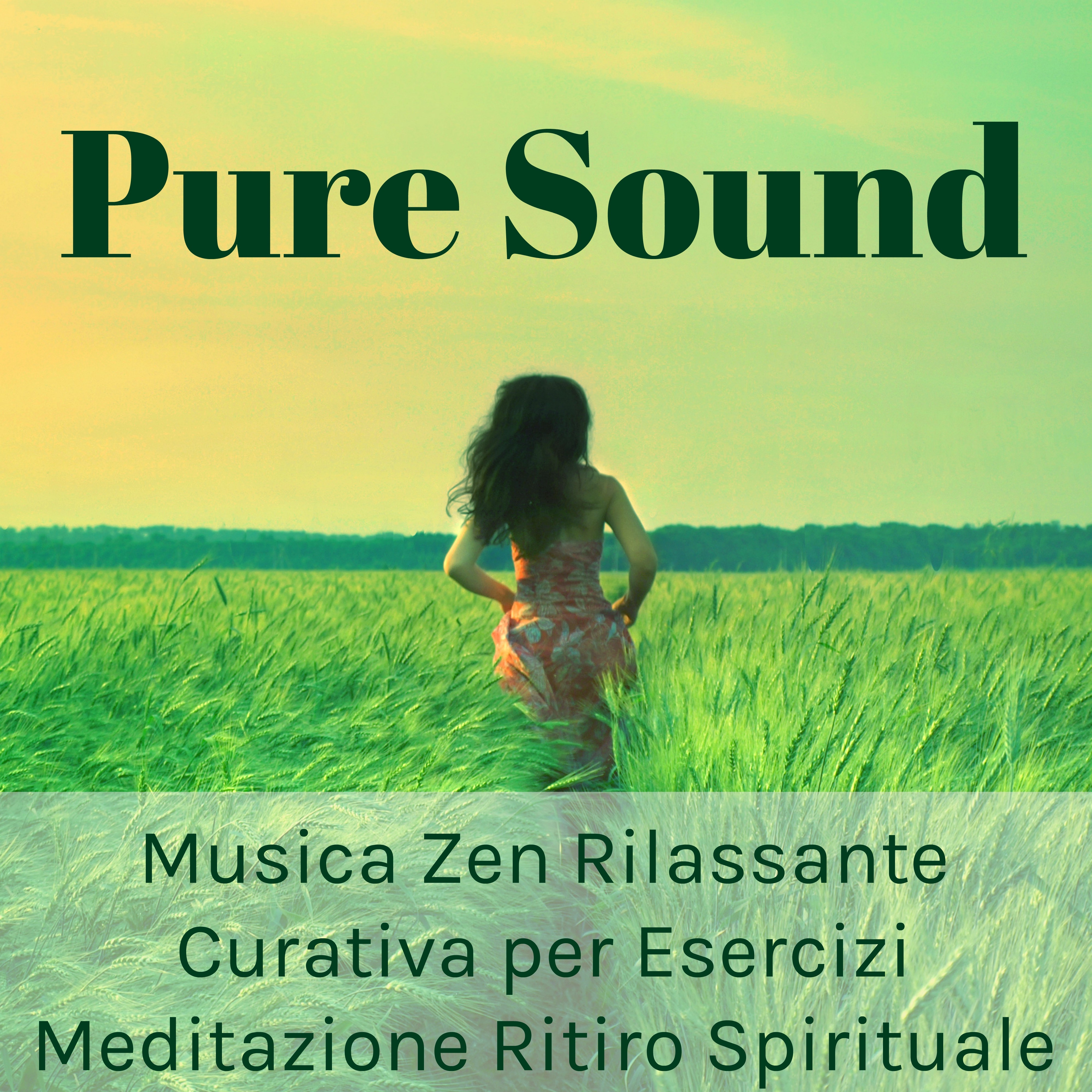 Pure Sound - Musica Zen Rilassante Curativa per Esercizi Meditazione Ritiro Spirituale con Suoni Benessere della Natura Strumentali
