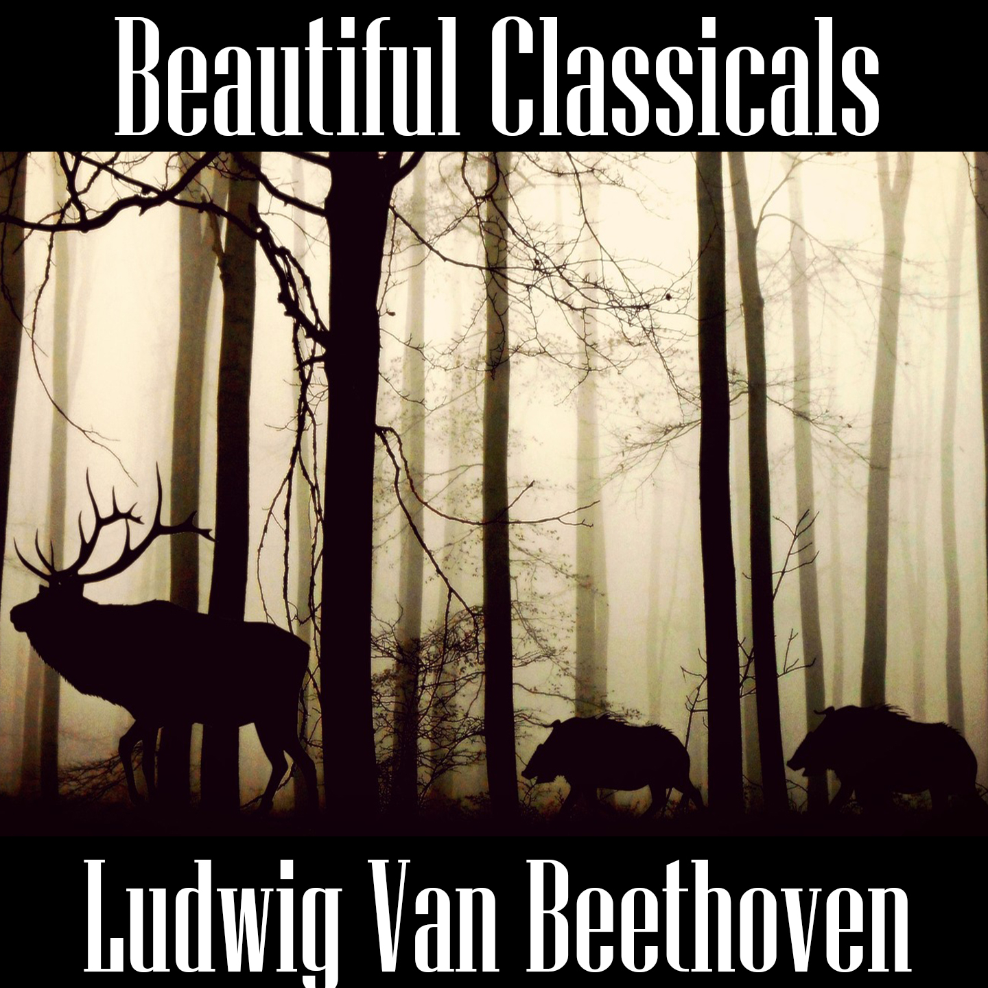 Beautiful Classicals: Ludwig van Beethoven