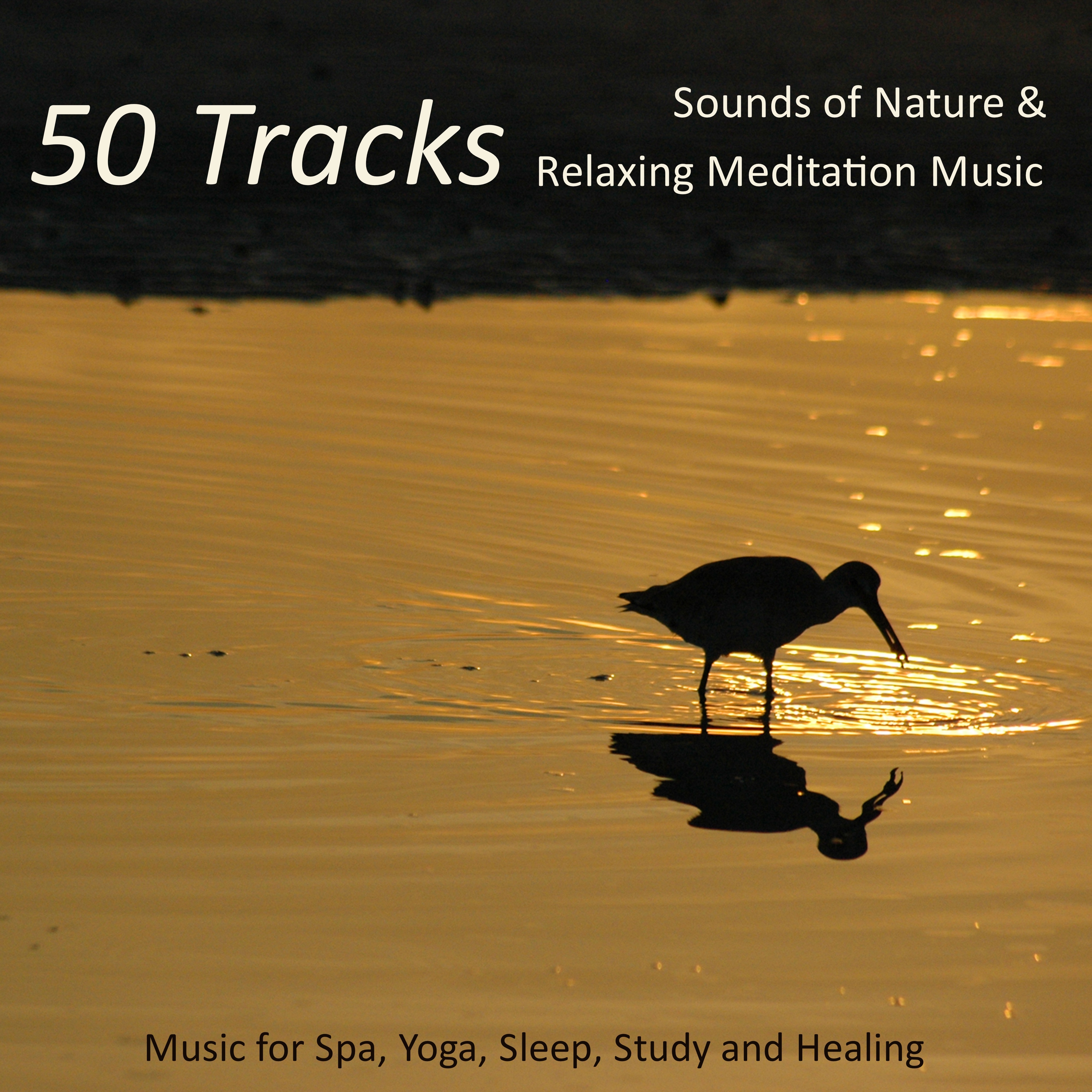 Meditative Sounds and Music