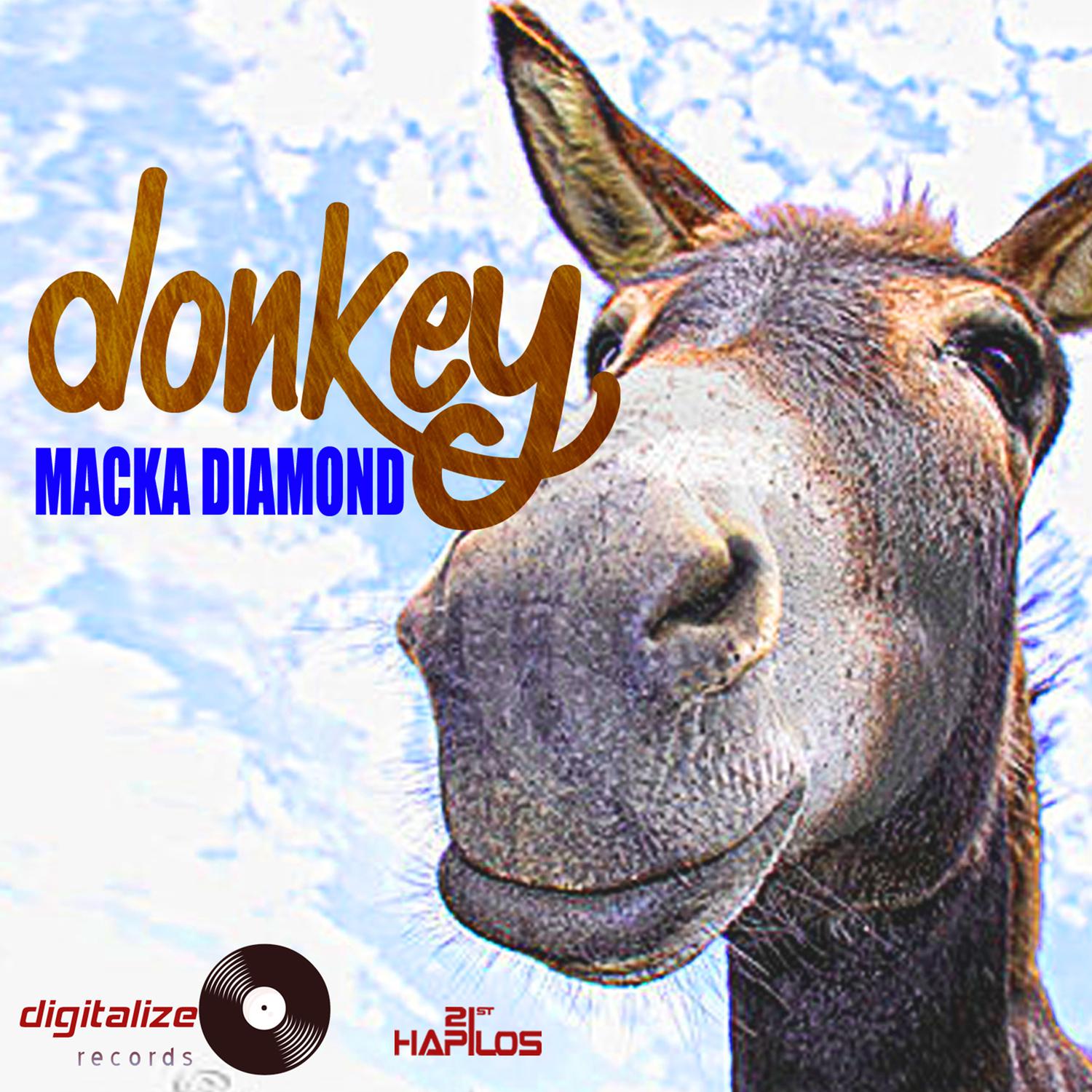 Donkey - Single