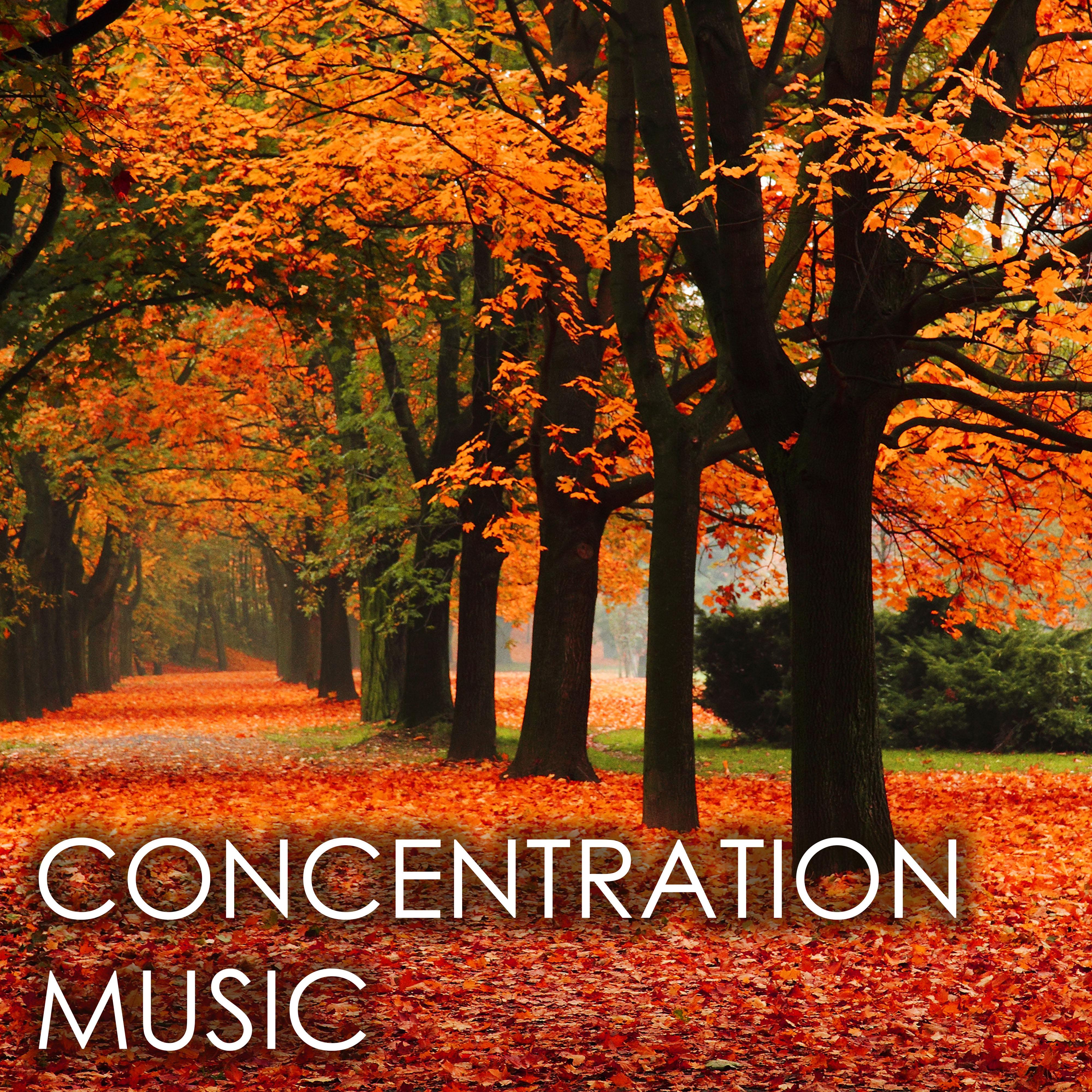 Concentration Music for Studying - The Best Music to Study to