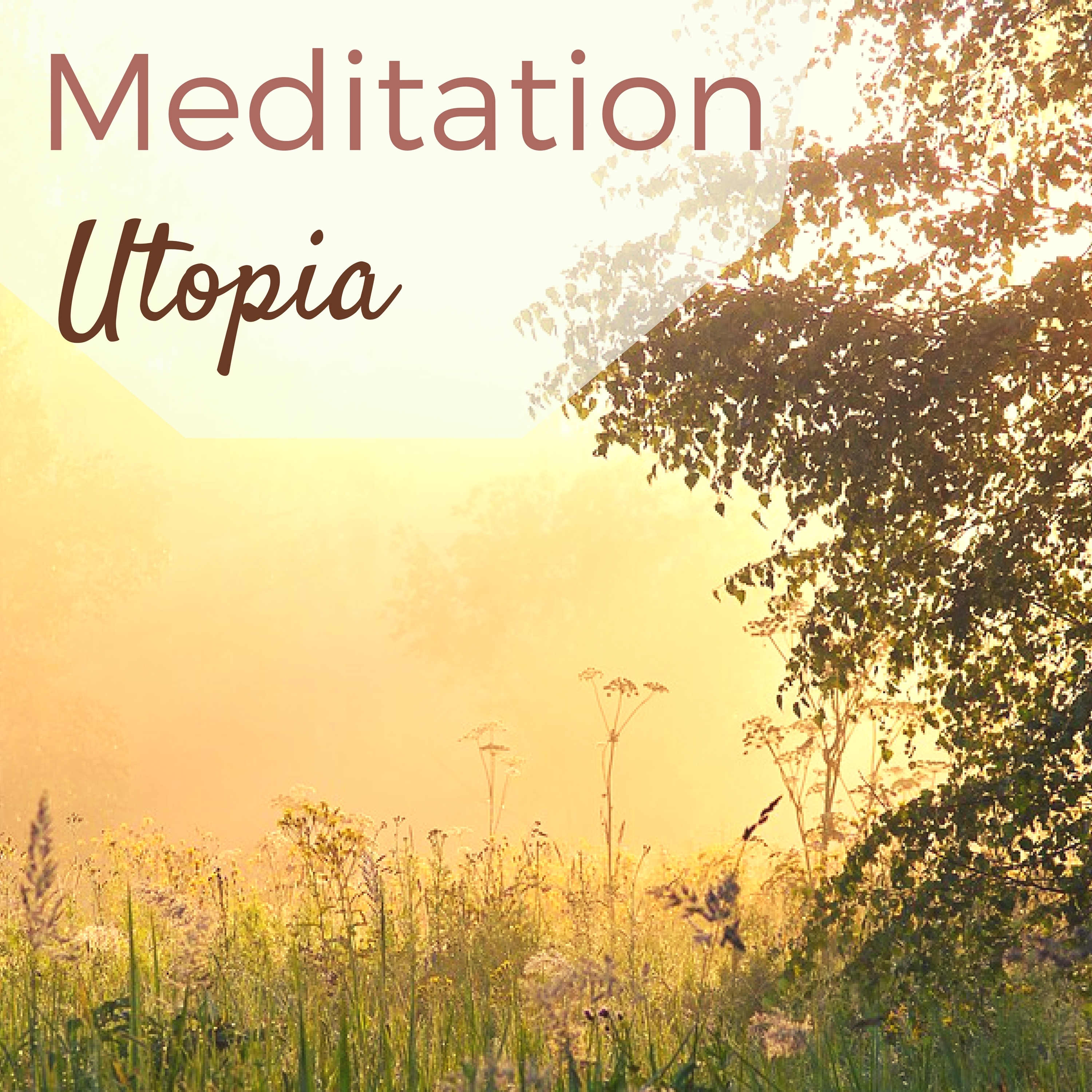 Meditation Utopia
