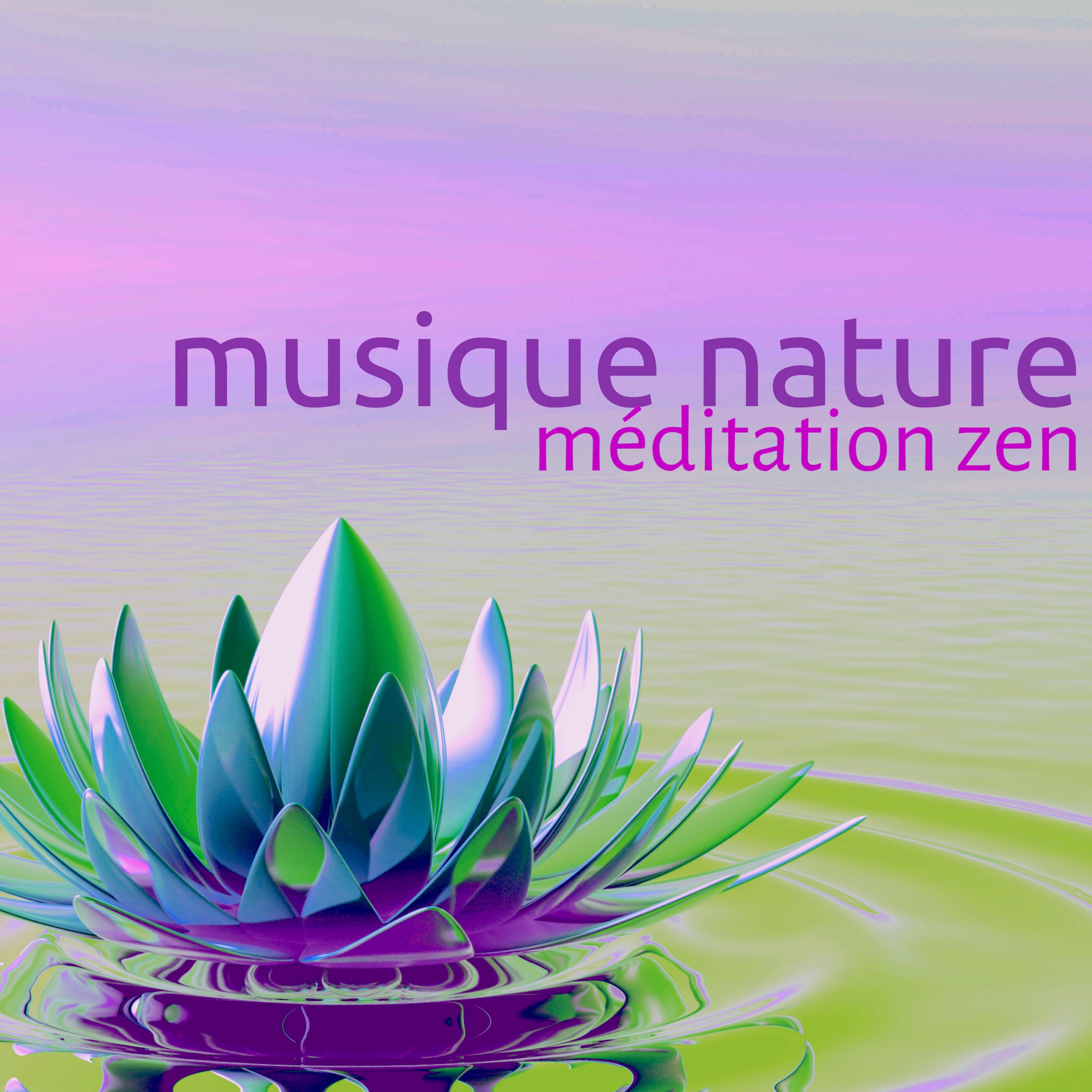 Musique Nature  Chansons pour Me ditation Zen, Yoga et Sophrologie, Sons de la Nature pour Relaxation et Bien tre