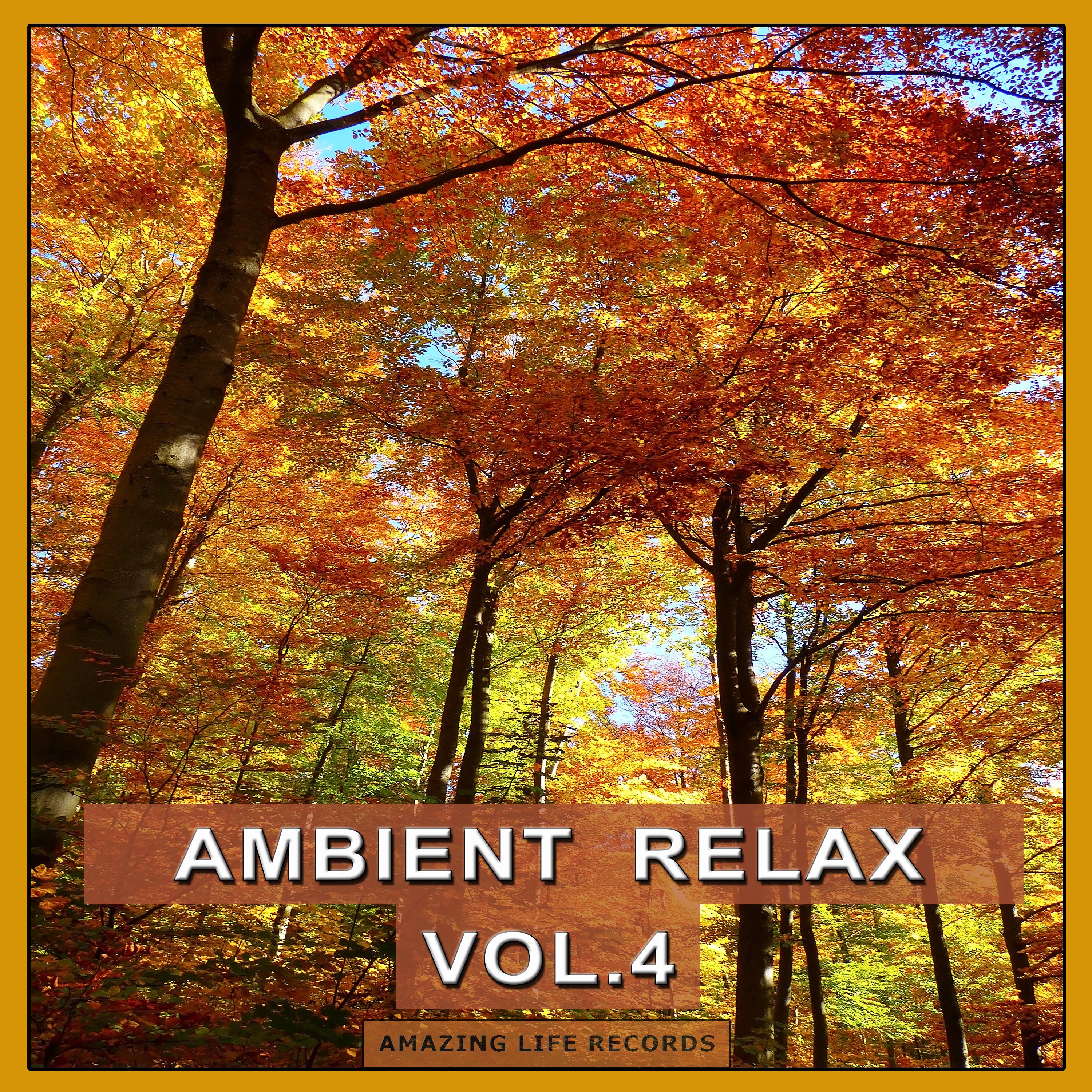 Ambient Relax, Vol. 4