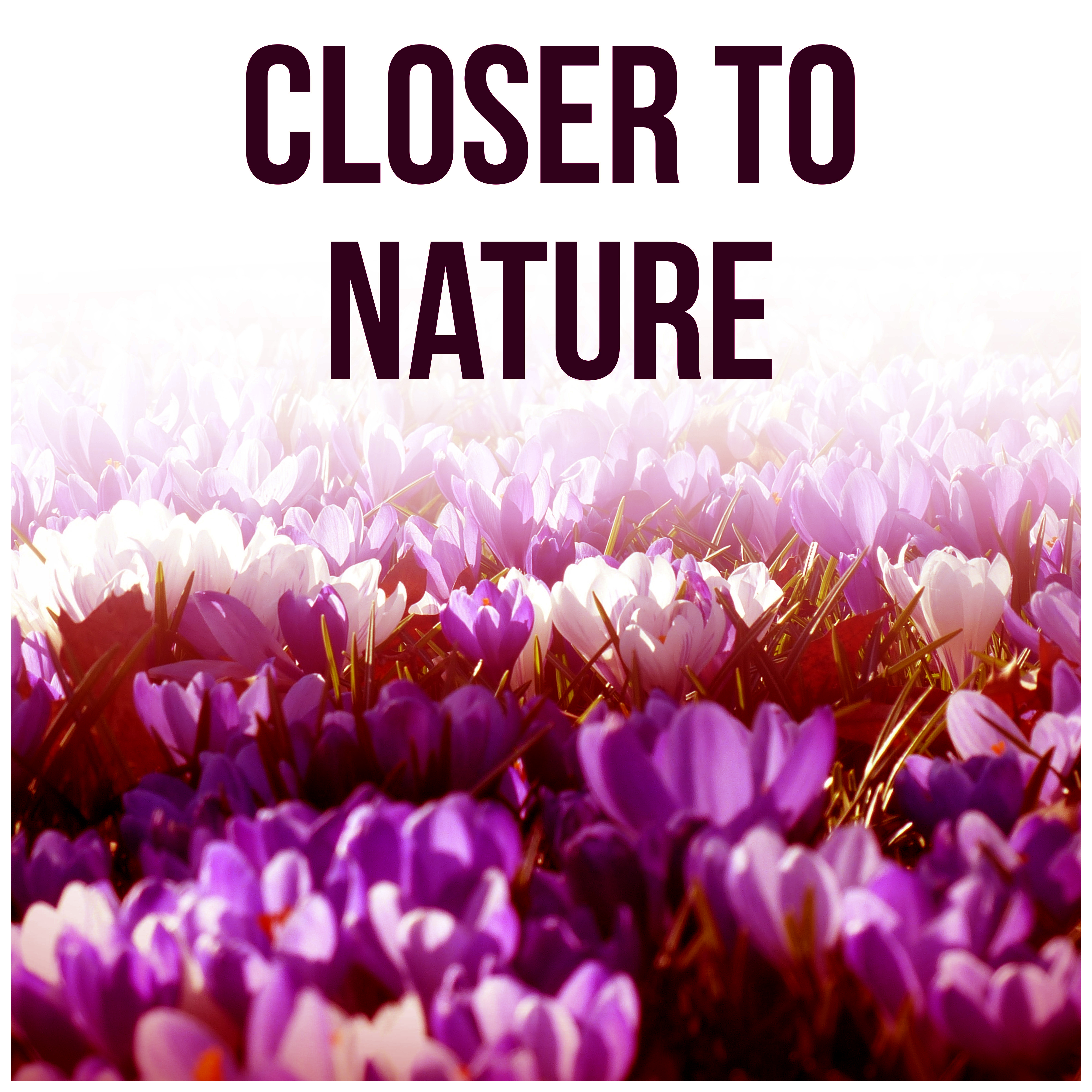 Closer to Nature - Feel Good, Easy Listening, Crystal World, Nature Sounds, Calmness, Water