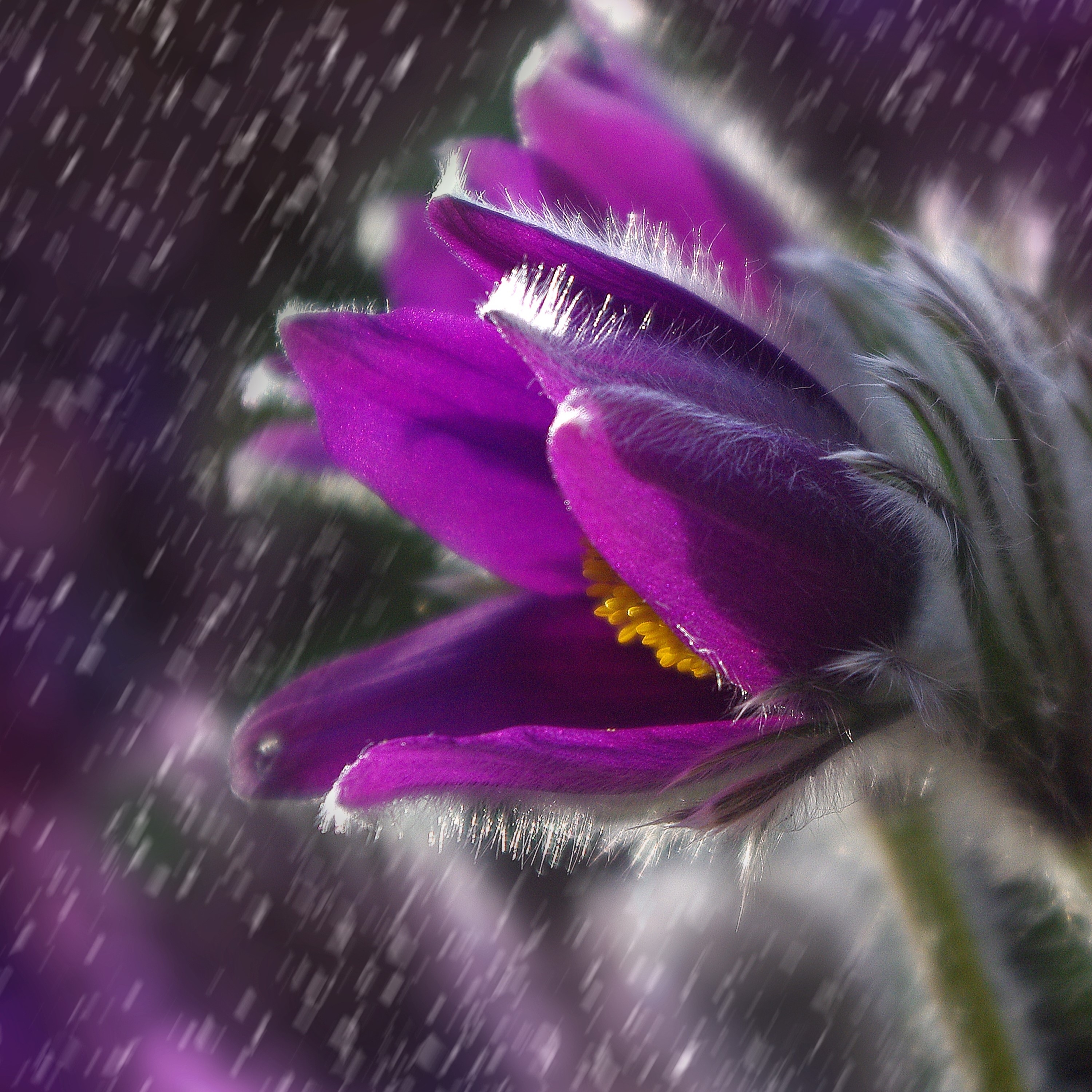 10 Rain Sound Recordings for Instant Relaxation and Zen Meditation Sessions