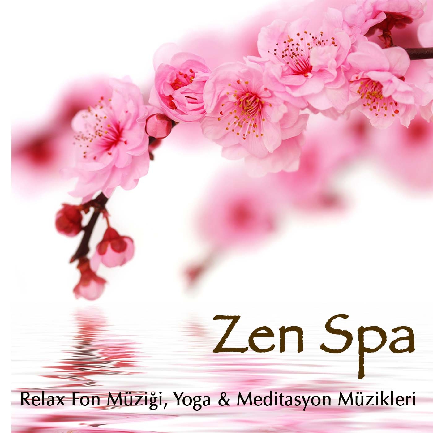 Zen Spa  Relax Fon Mü zi i, Yoga  Meditasyon Mü zikleri