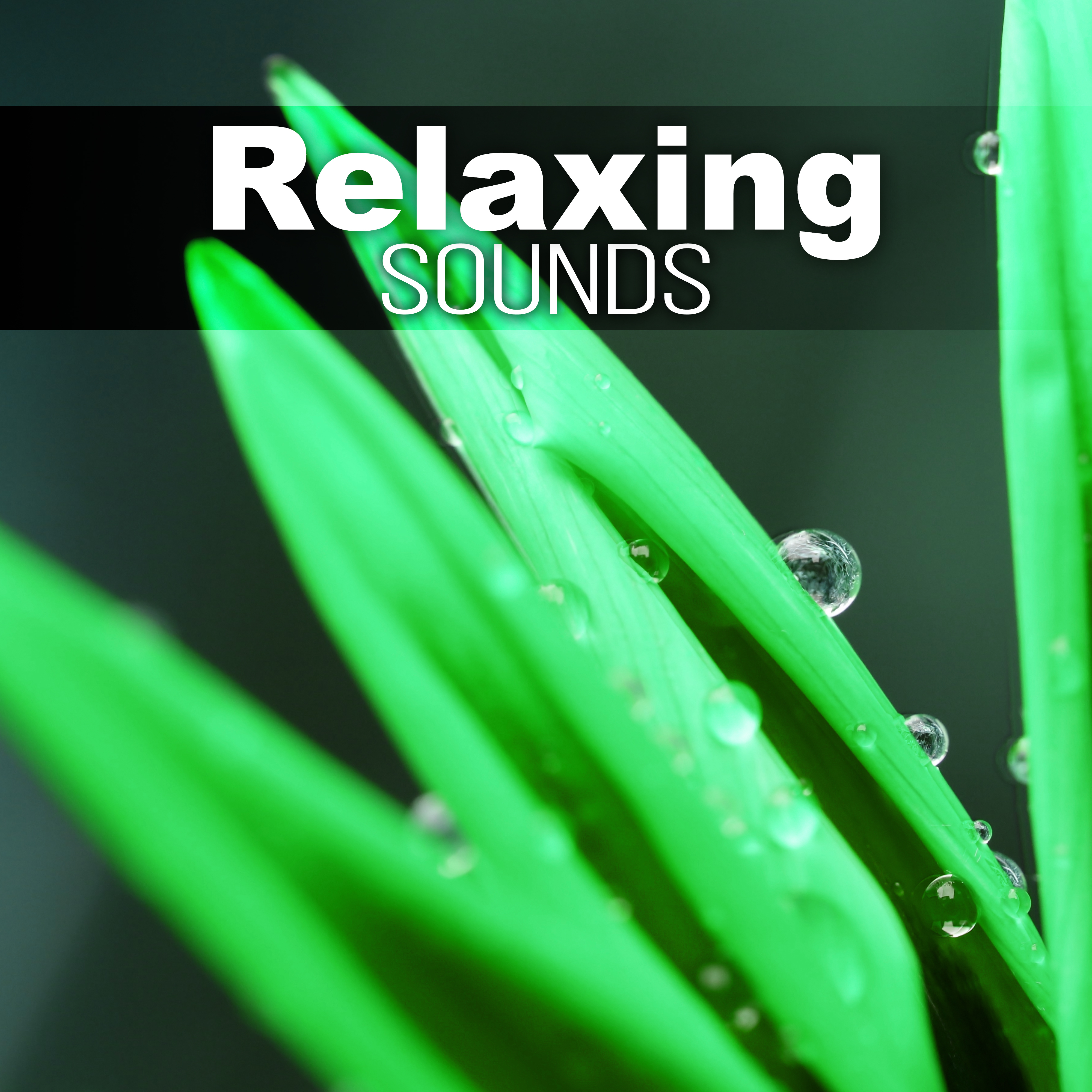 Relaxing Sounds - The Powerful Women, Meditate and Feel Your Energy Life by Listening to the Nature Ocean Sounds, Relaxing New Age Music