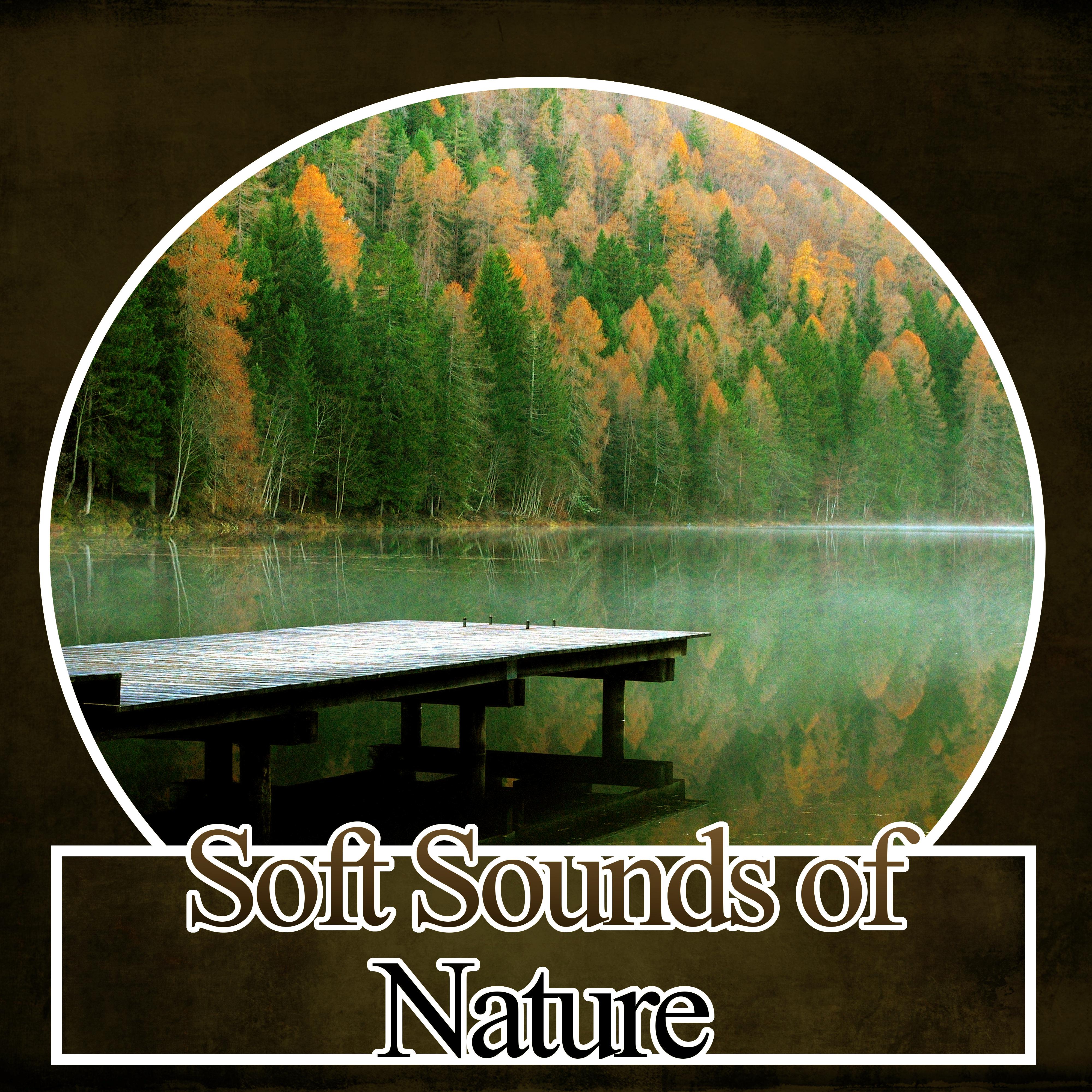 Soft Sounds of Nature - Ambient Relaxation Sounds for Massage, Wellness Spa Lounge, Calm Sounds, Gentle Touch, Background Music, Asian Music