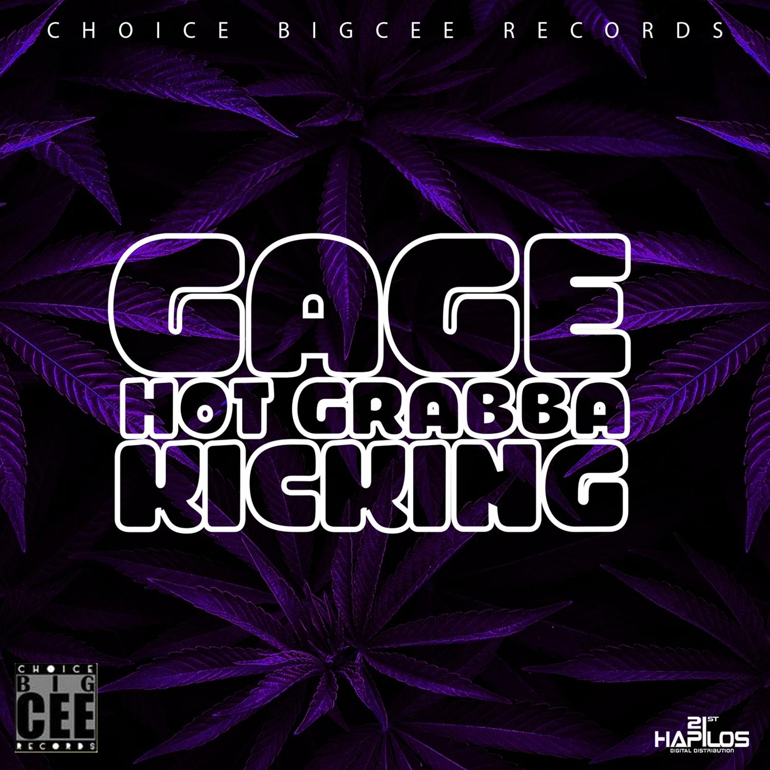 Hot Grabba Kicking - Single