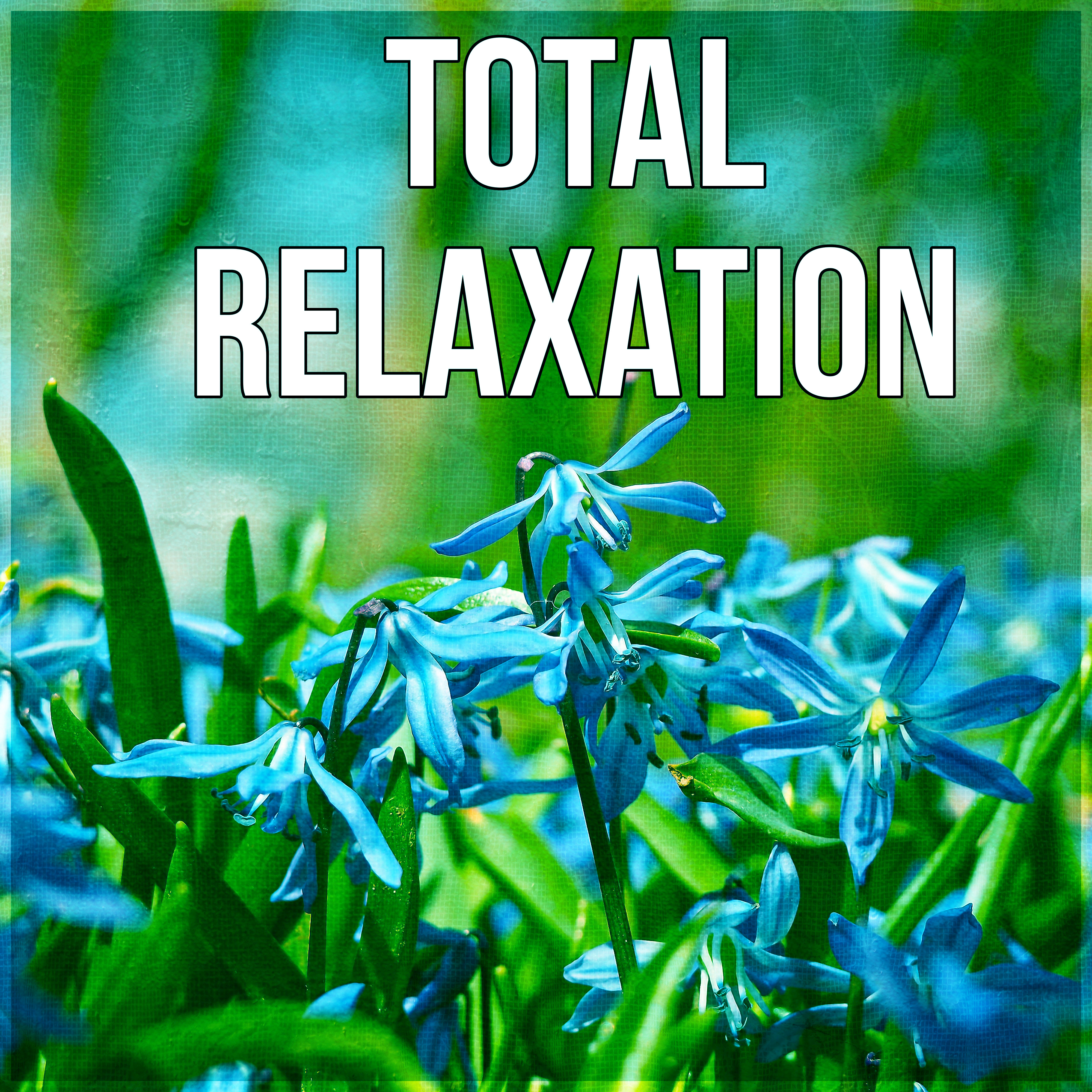 Total Relaxation  Deep Relaxation Music, Chill Out, New Age Music, Background Soft Music, Nature Sounds, Calm Music for Relax, Stress Relief