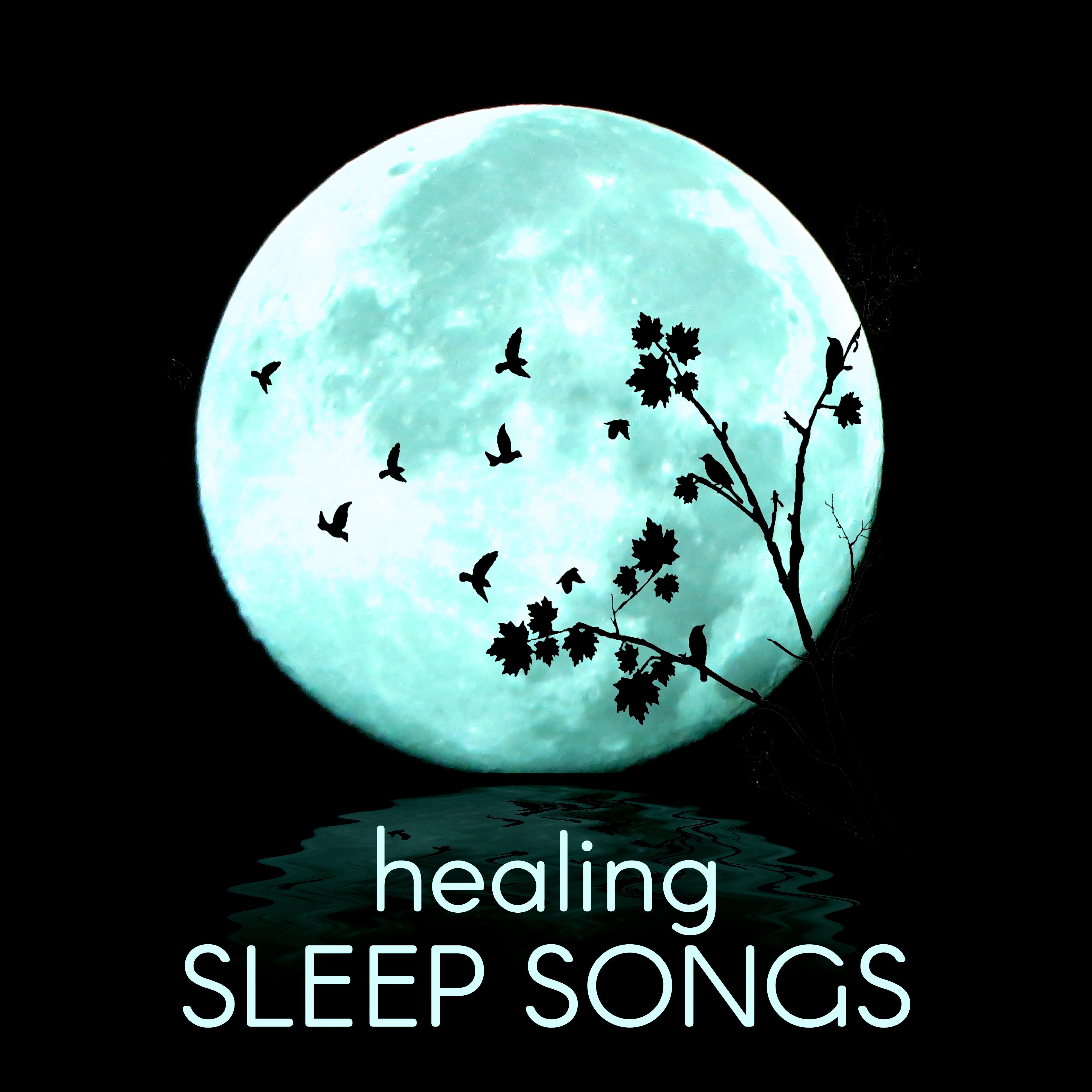 Healing Sleep Songs  Soothing and Relaxing Ocean Waves Sounds, Calming Quiet Nature Sounds, White Noise, Insomnia Cure