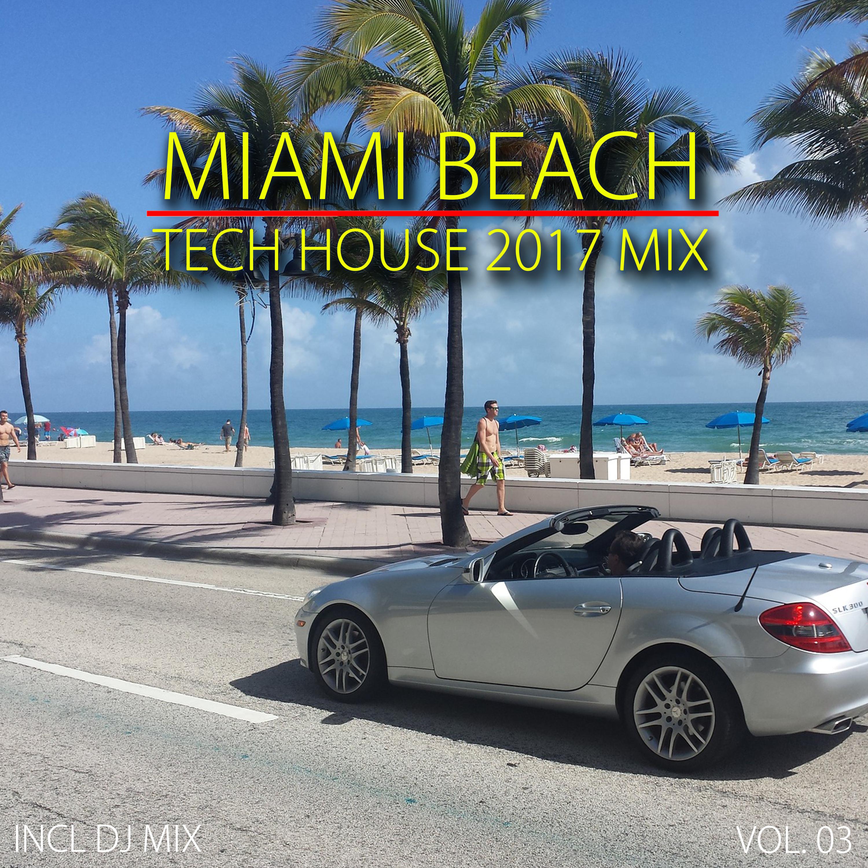 Miami Beach Tech House 2017 Mix, Vol. 03 (Mixed By Deep Dreamer)