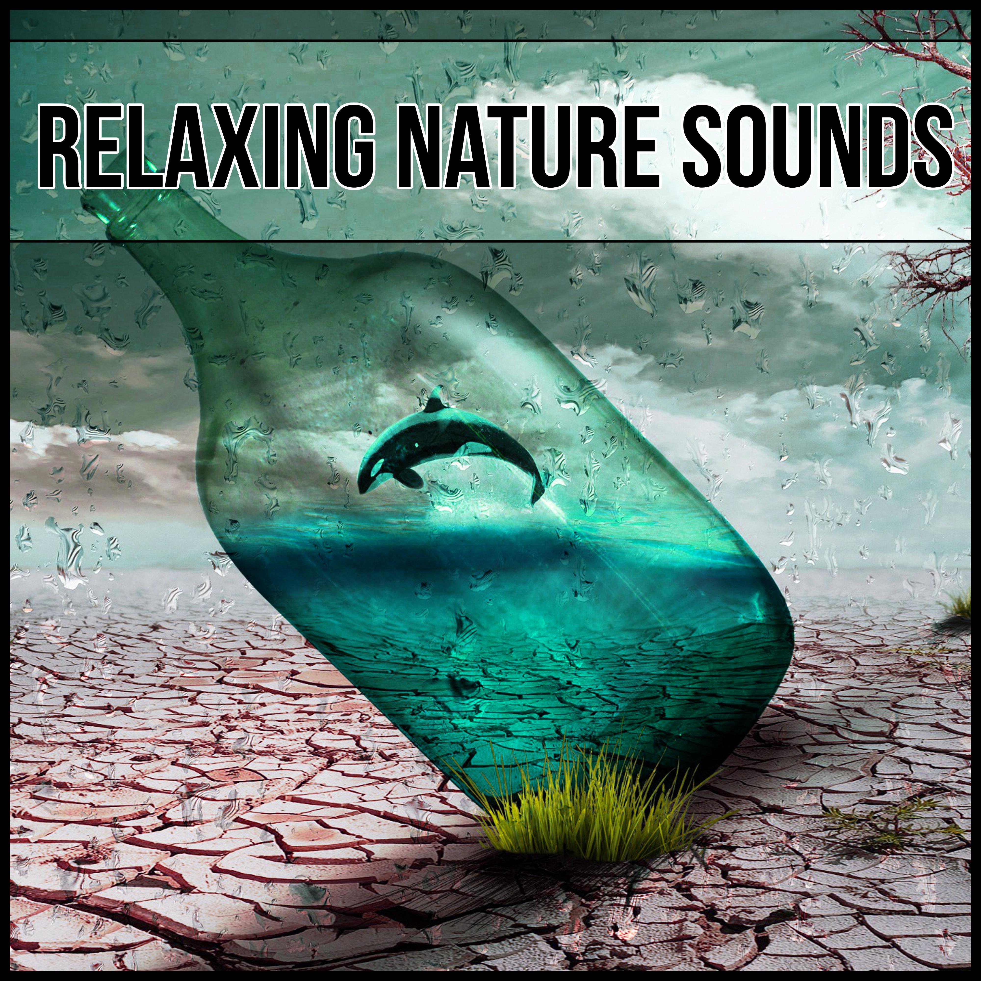 Relaxing Nature Sounds  Relaxing Background Music for Meditation, Relaxing Ocean Waves Sounds, Calming Quiet Nature Sounds, White Noise