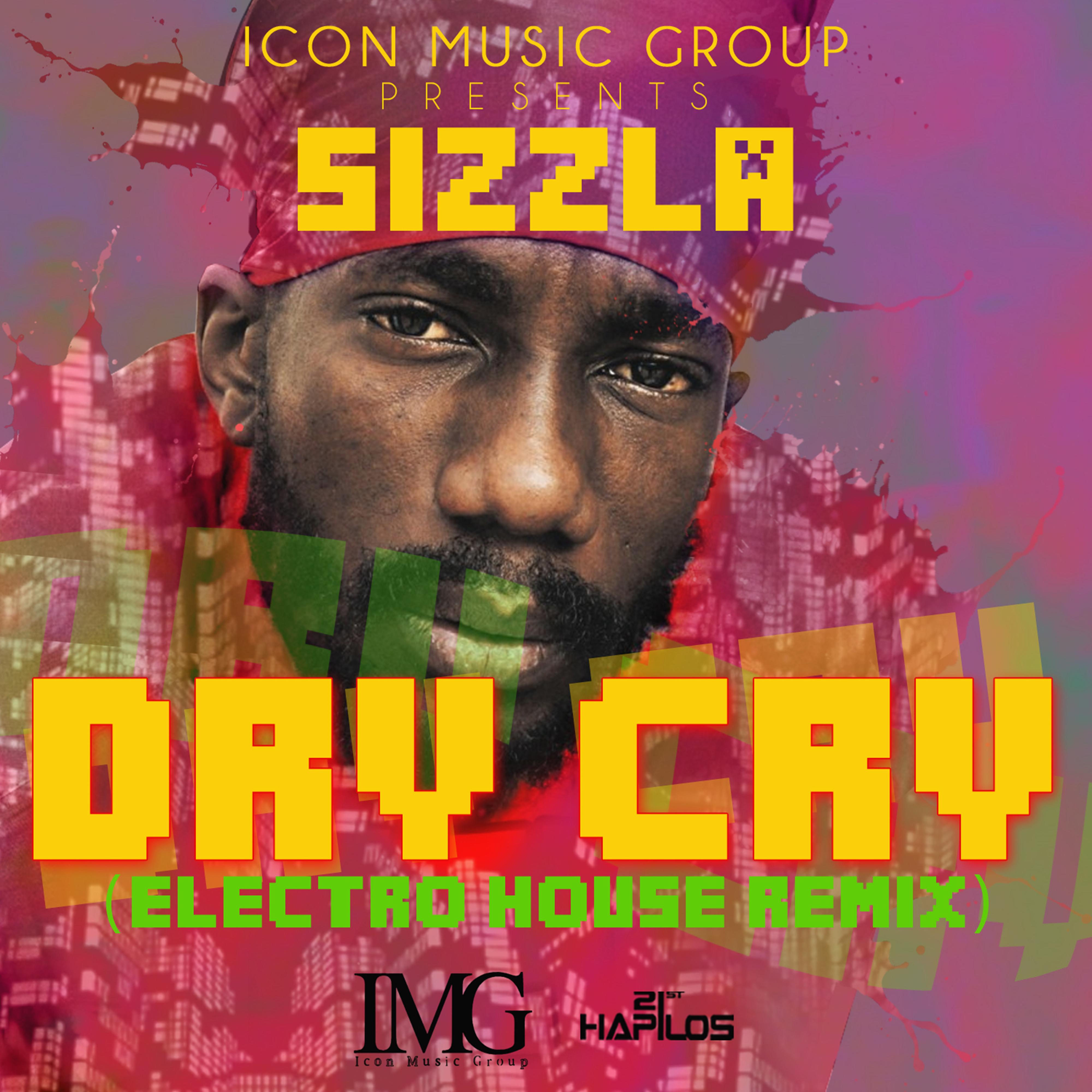 Dry Cry (Electro House Remix) - Single