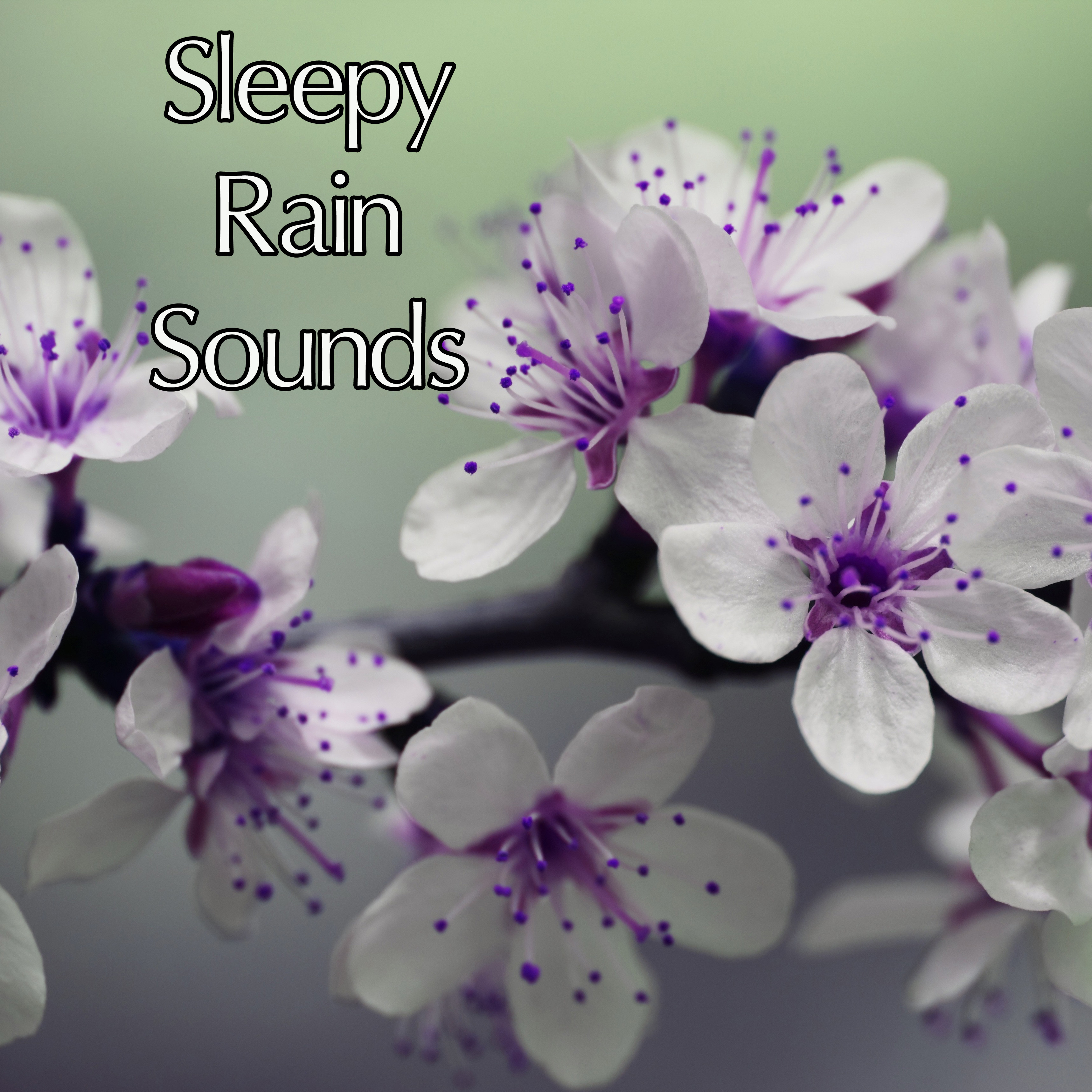 19 Rain and Nature Sounds - Sleep and Meditation Sounds